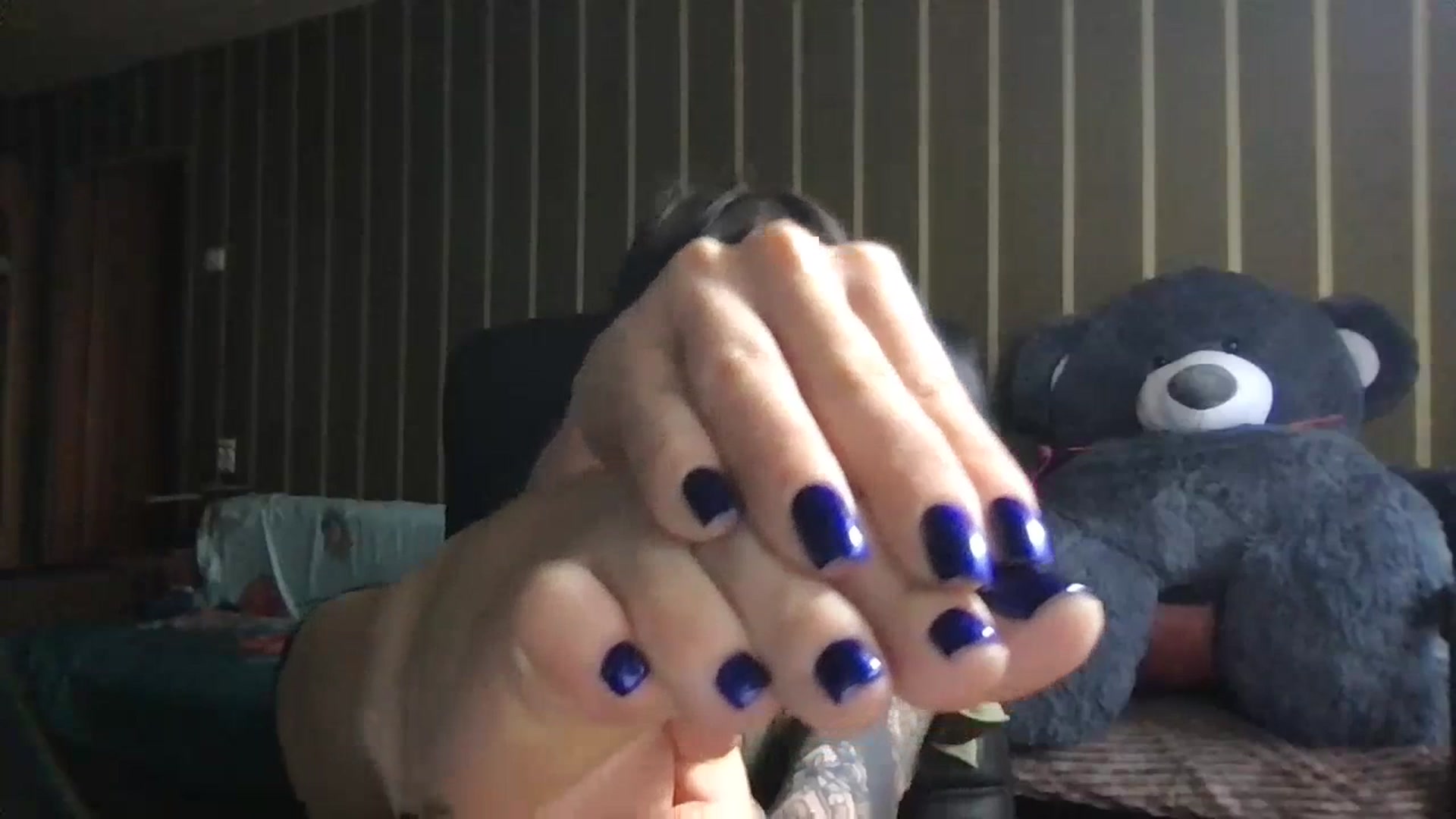 Gallery image thumbnail from Shy_Eva7's myfreecams stream on, 07/17/2023, 11:56 image 8 of 20