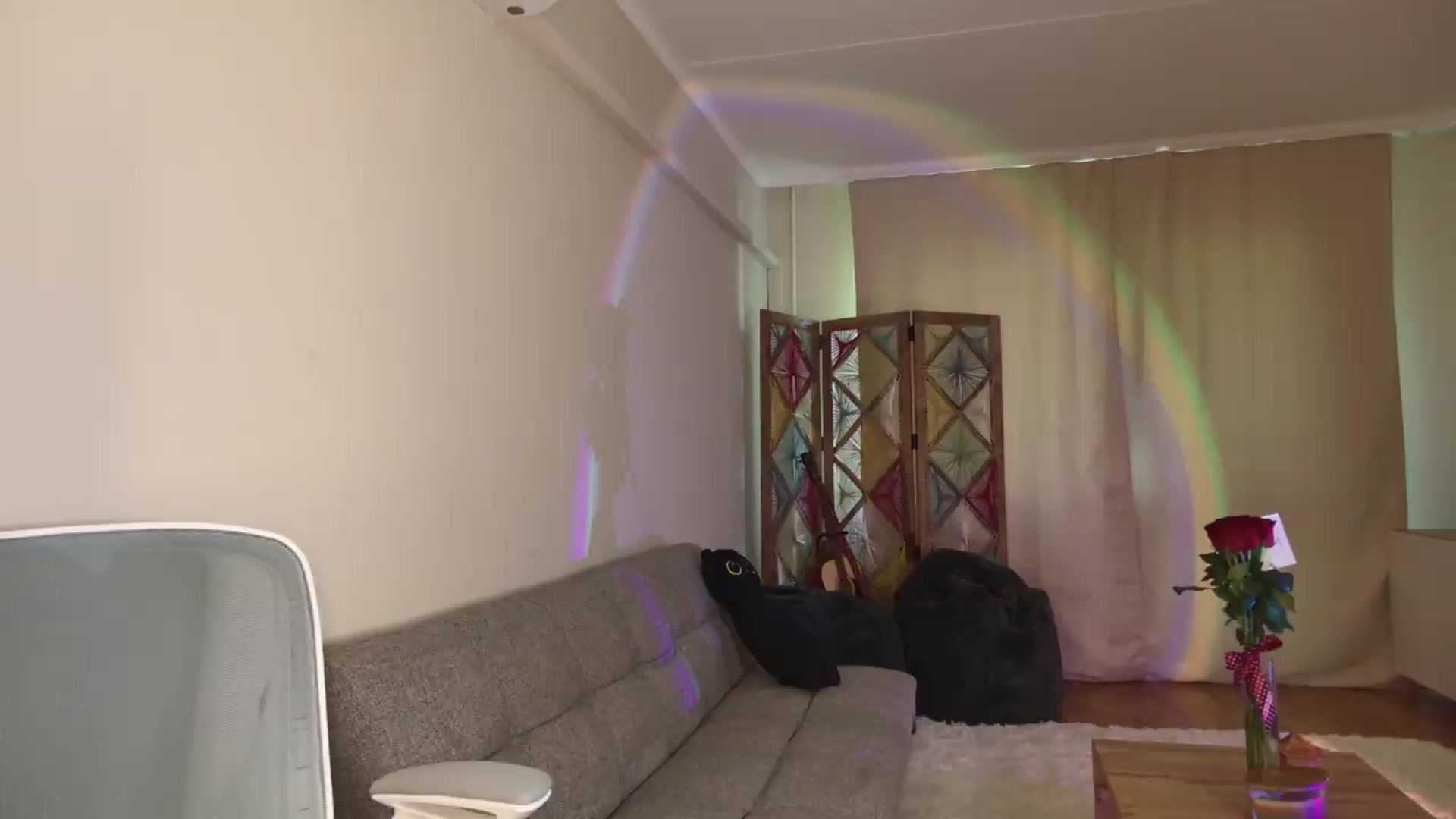 Gallery image thumbnail from Shy_jane's myfreecams stream on, 05/27/2026, 12:51 image 1 of 20