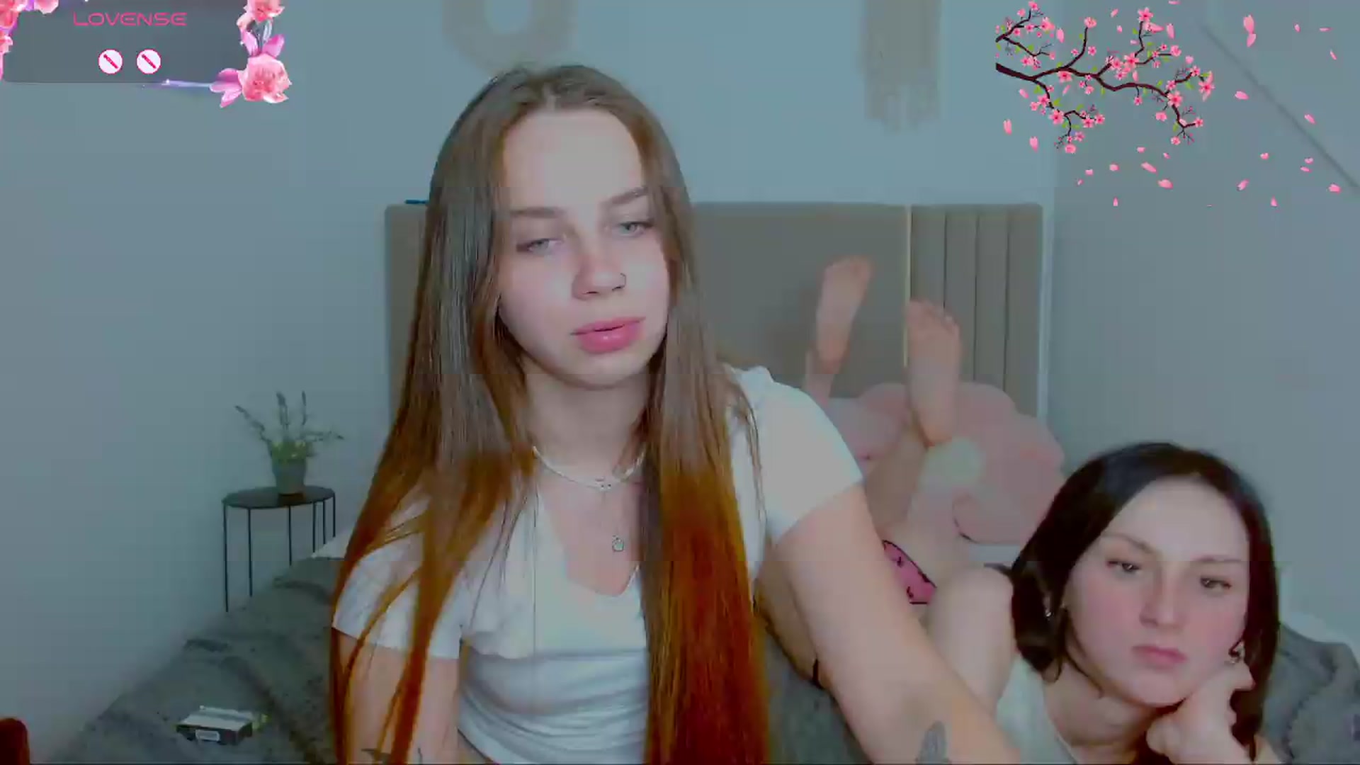 Gallery image thumbnail from Shy_molly1's myfreecams stream on, 07/05/2026, 10:46 image 12 of 20