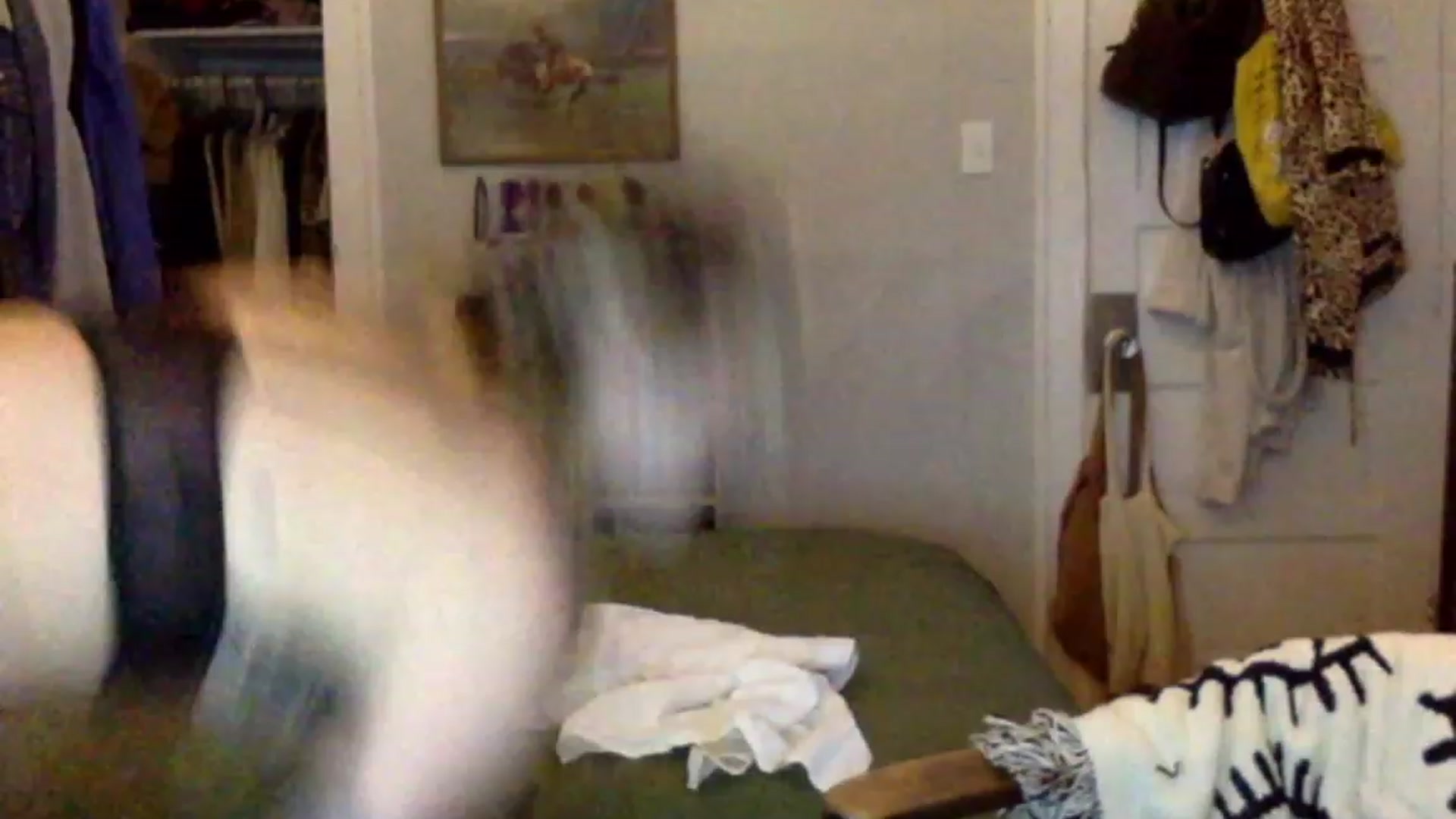 Gallery image thumbnail from Shy_sophia2's myfreecams stream on, 09/15/2023, 05:19 image 15 of 20