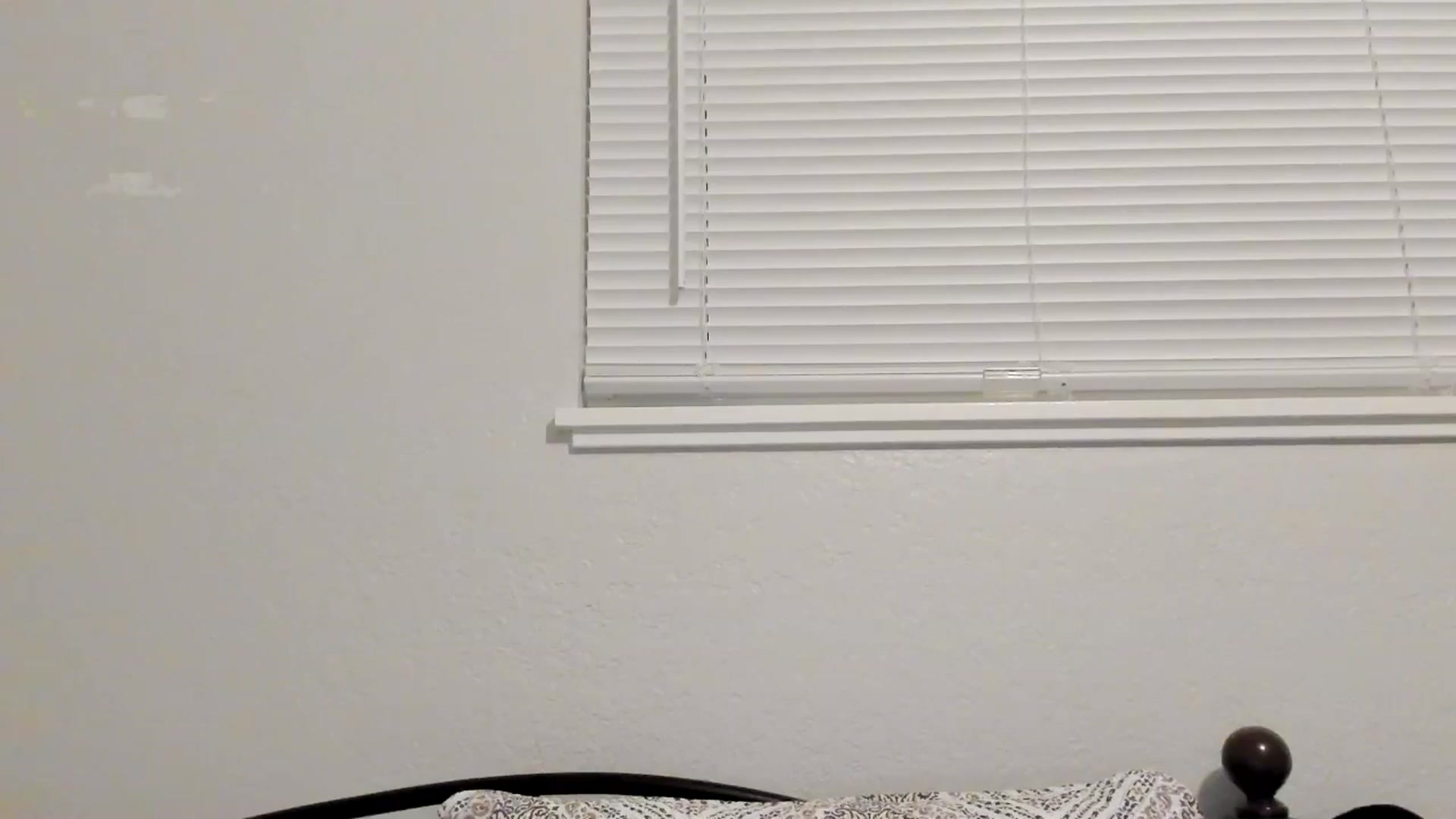 Gallery image thumbnail from ShylaMarie1's myfreecams stream on, 05/16/2024, 11:36 image 13 of 20