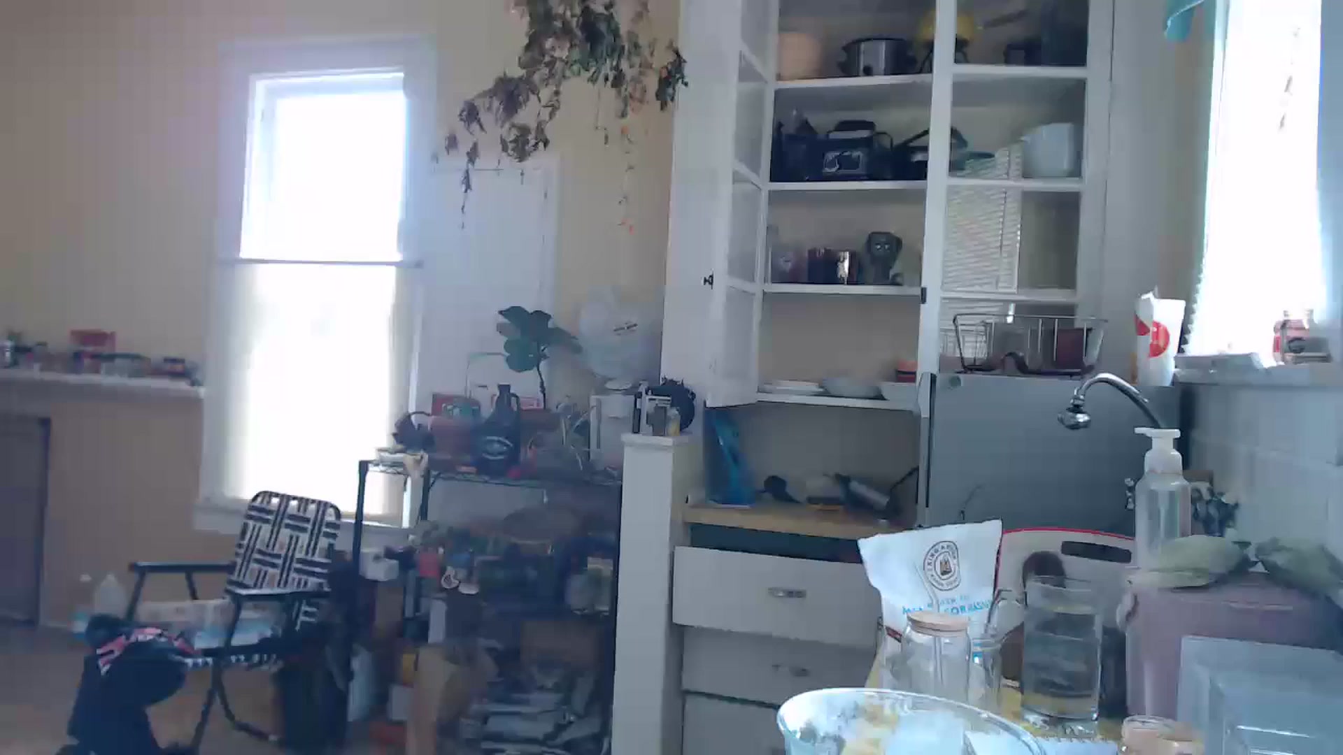 Gallery image thumbnail from Shyla_syn1's myfreecams stream on, 06/10/2024, 20:37 image 8 of 20