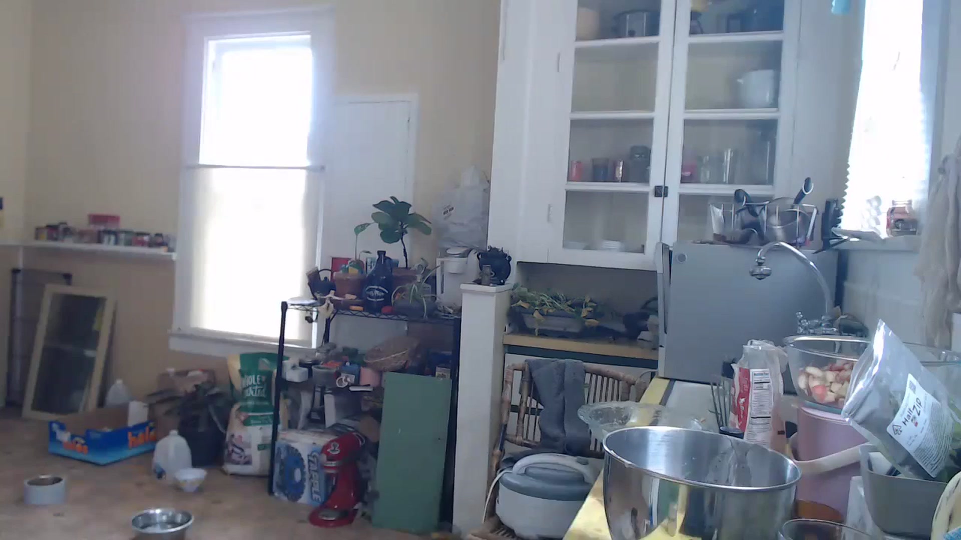 Gallery image thumbnail from Shyla_syn1's myfreecams stream on, 06/19/2024, 20:45 image 16 of 20