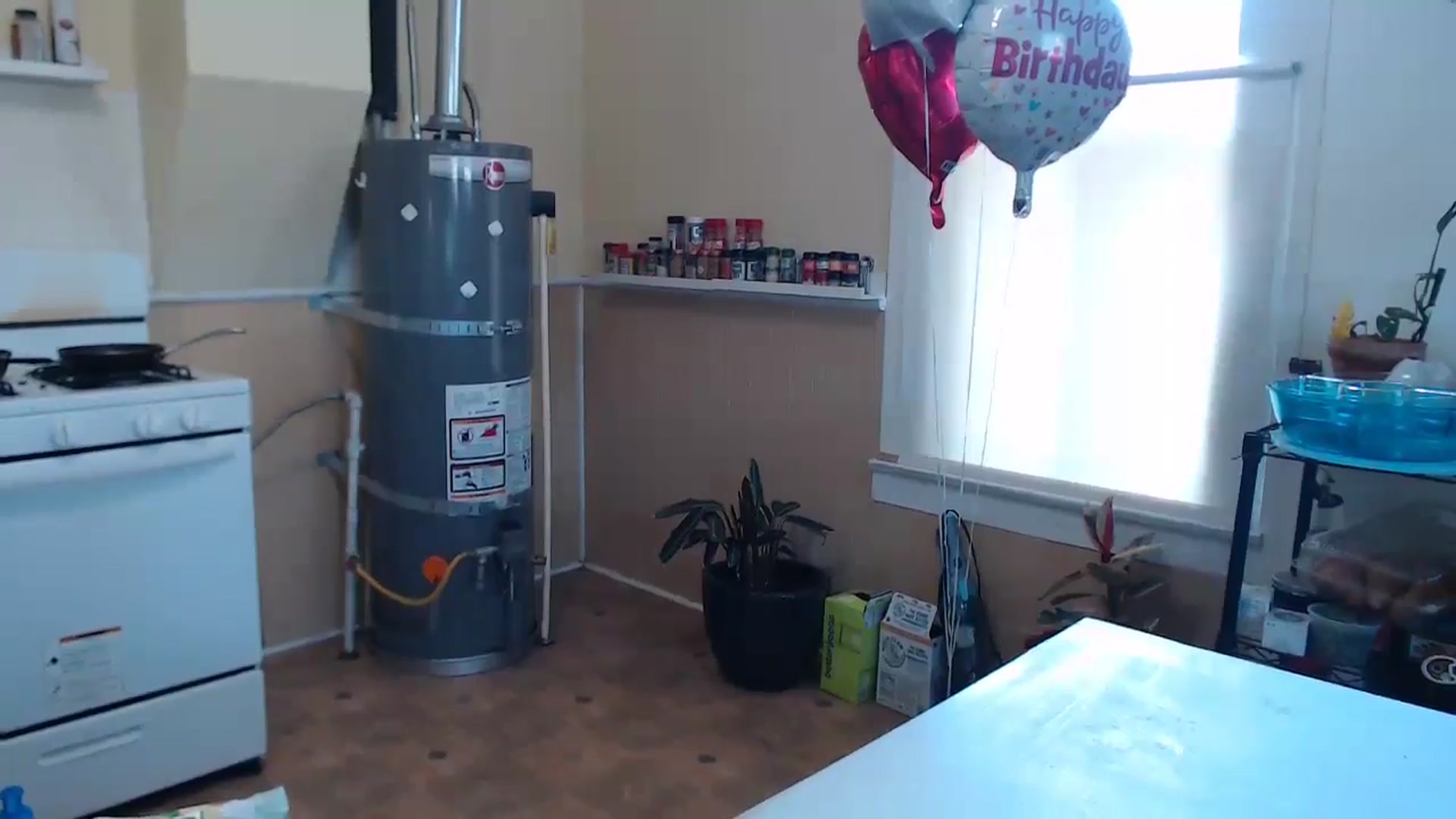 Gallery image thumbnail from Shyla_syn1's myfreecams stream on, 07/08/2024, 20:18 image 20 of 20
