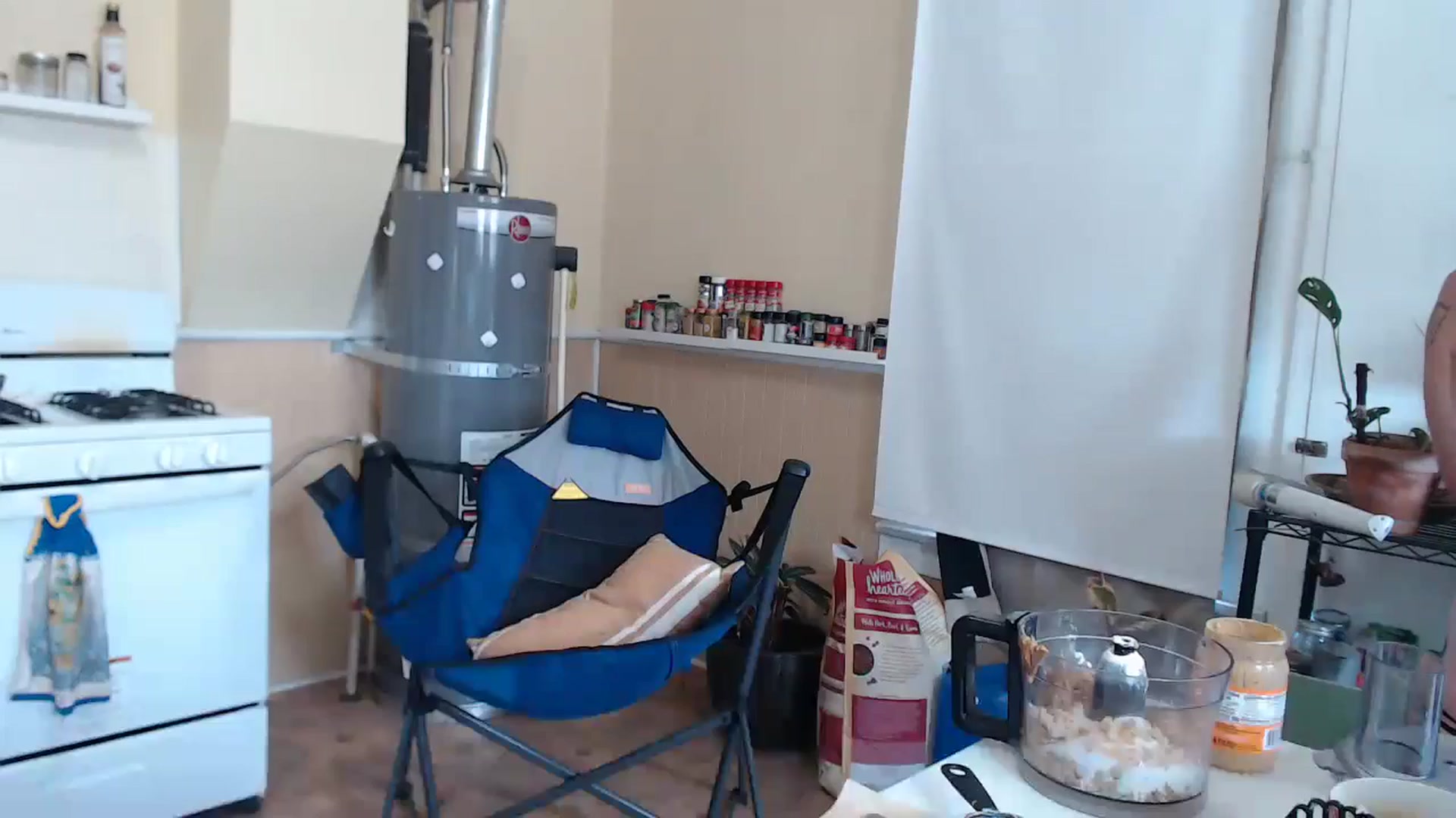 Gallery image thumbnail from Shyla_syn1's myfreecams stream on, 07/17/2024, 19:27 image 12 of 20