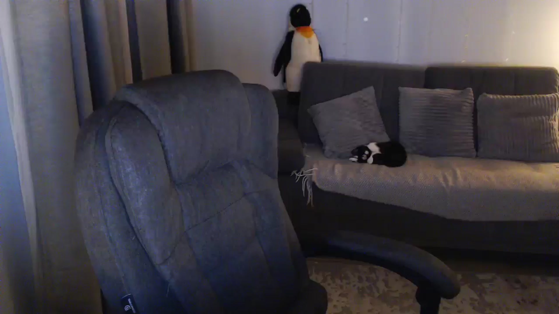 Gallery image thumbnail from Sicille's myfreecams stream on, 03/17/2026, 20:16 image 11 of 20