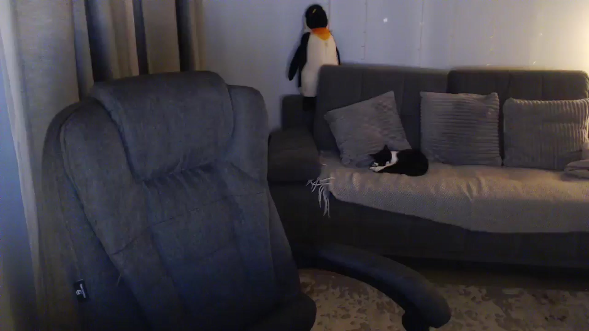 Gallery image thumbnail from Sicille's myfreecams stream on, 03/17/2026, 20:16 image 12 of 20