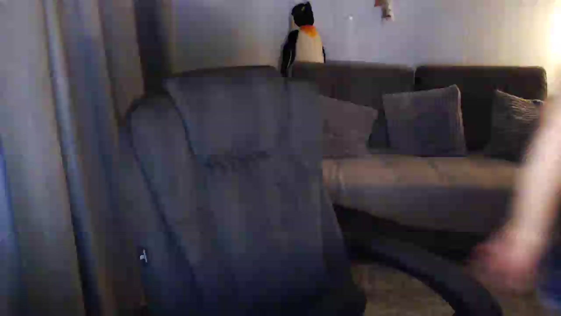Gallery image thumbnail from Sicille's myfreecams stream on, 07/16/2026, 20:47 image 1 of 20