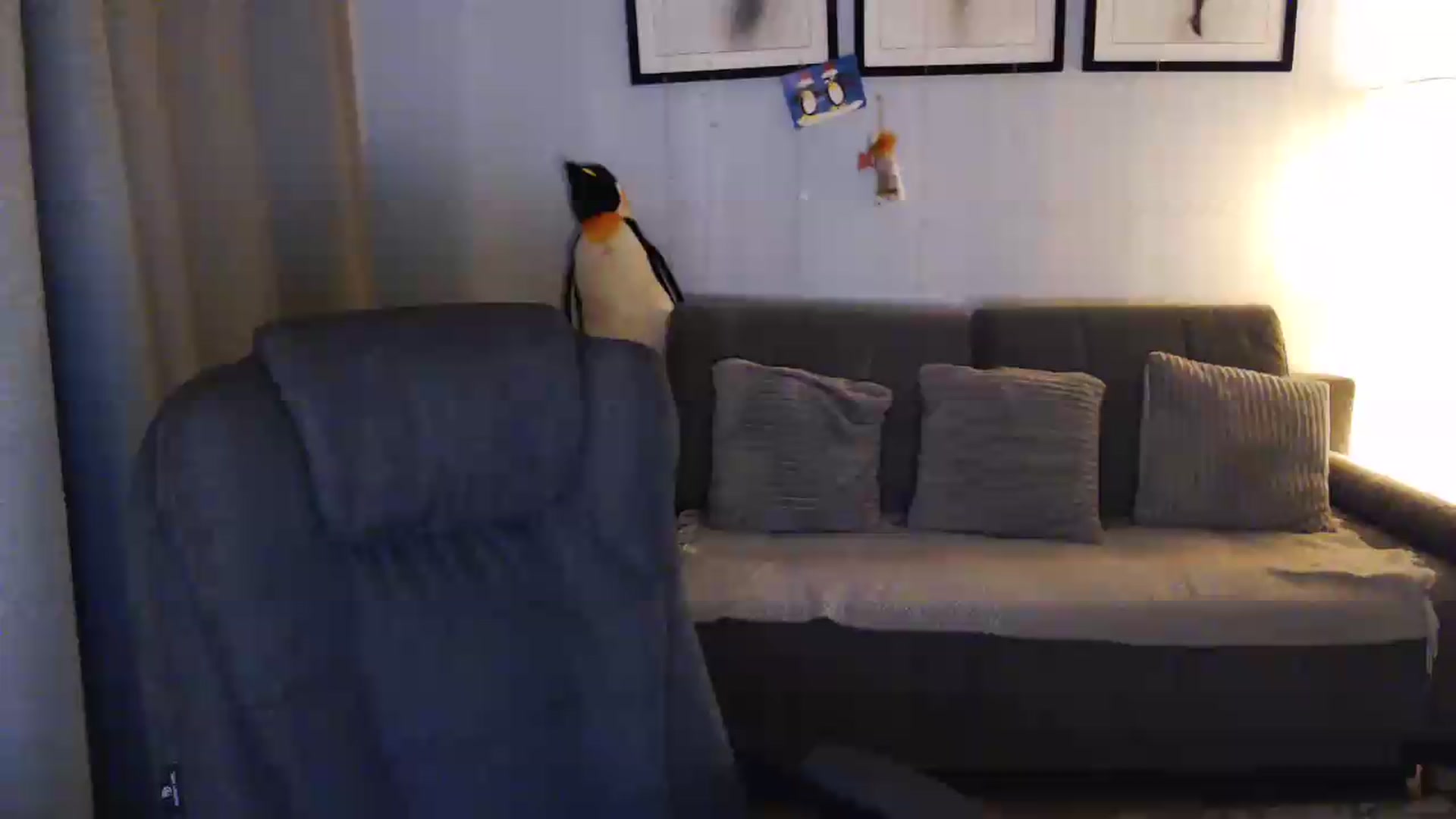 Gallery image thumbnail from Sicille's myfreecams stream on, 08/04/2026, 20:57 image 3 of 20