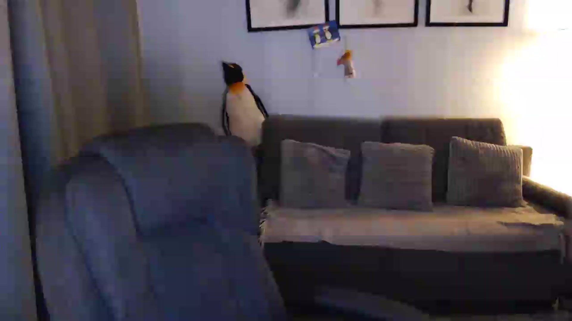 Gallery image thumbnail from Sicille's myfreecams stream on, 08/04/2026, 20:57 image 2 of 20