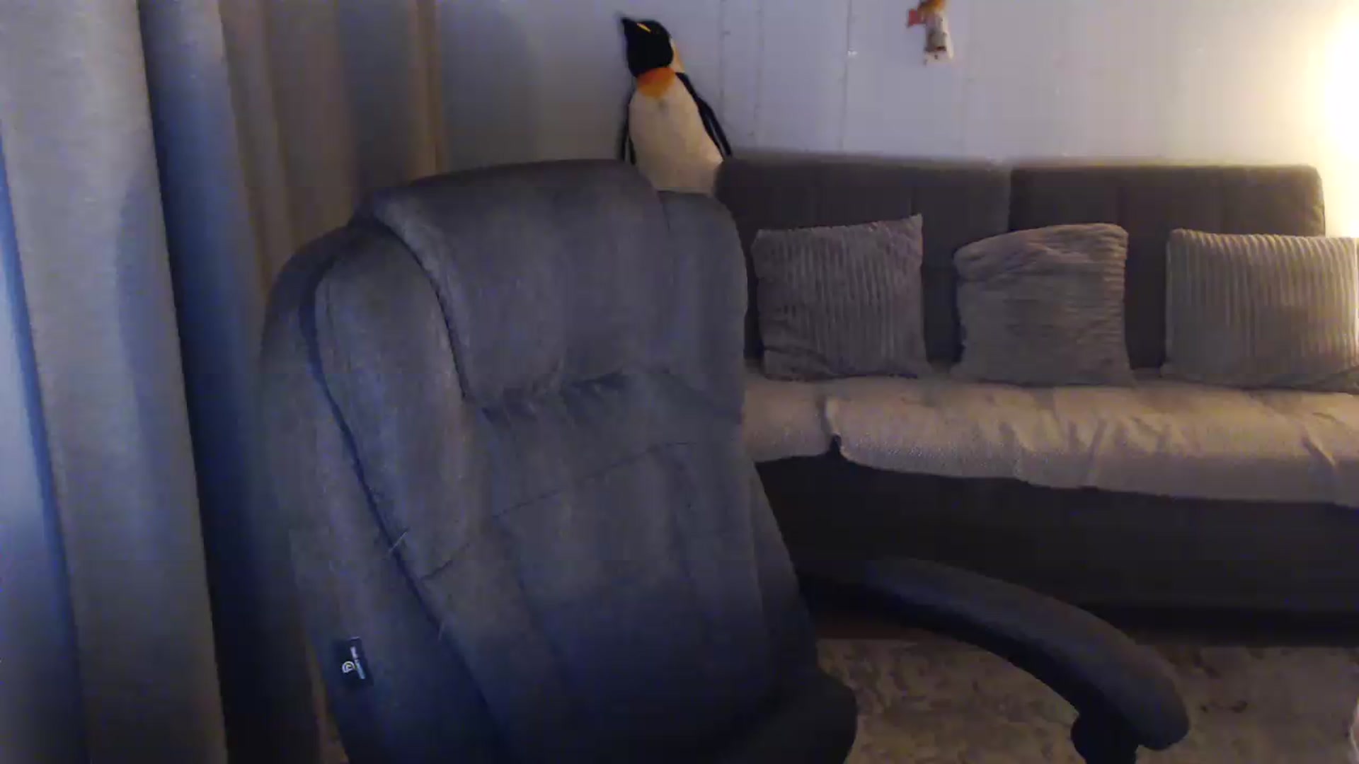 Gallery image thumbnail from Sicille's myfreecams stream on, 08/05/2026, 20:23 image 1 of 20