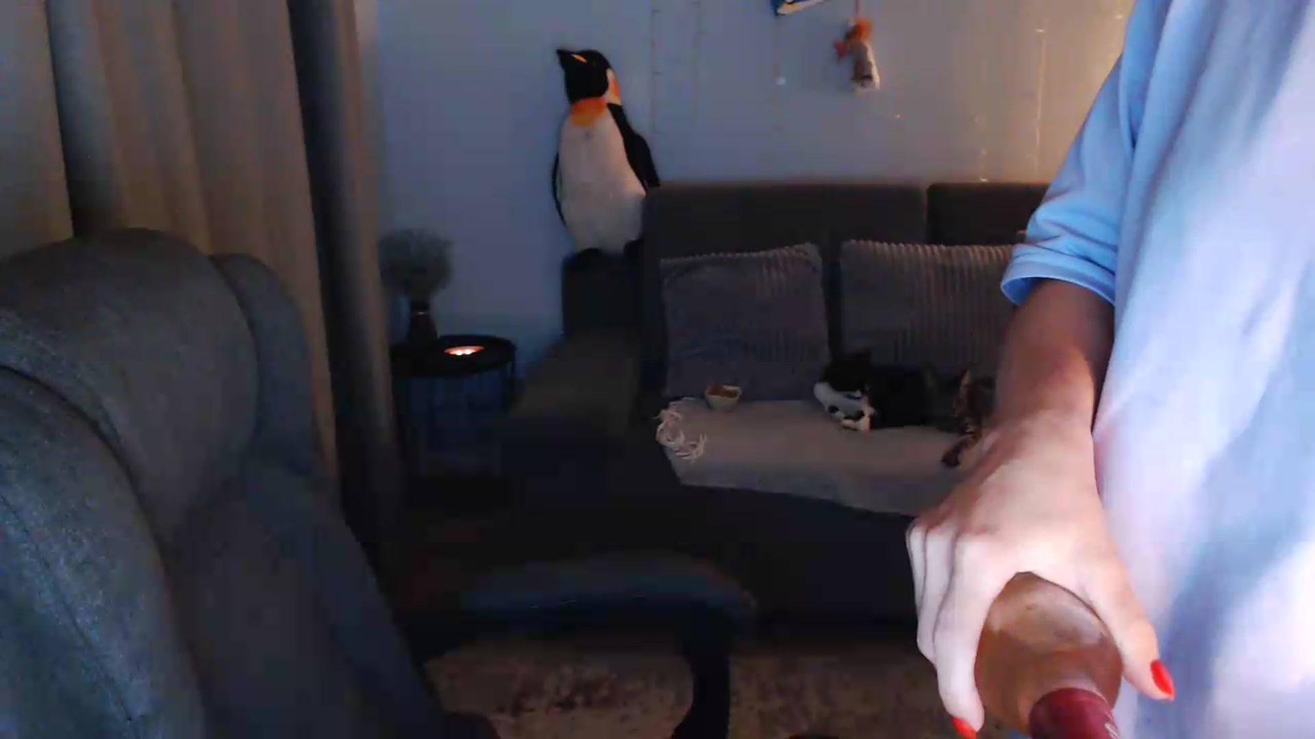 Gallery image thumbnail from Sicille's myfreecams stream on, 08/13/2026, 21:07 image 8 of 20