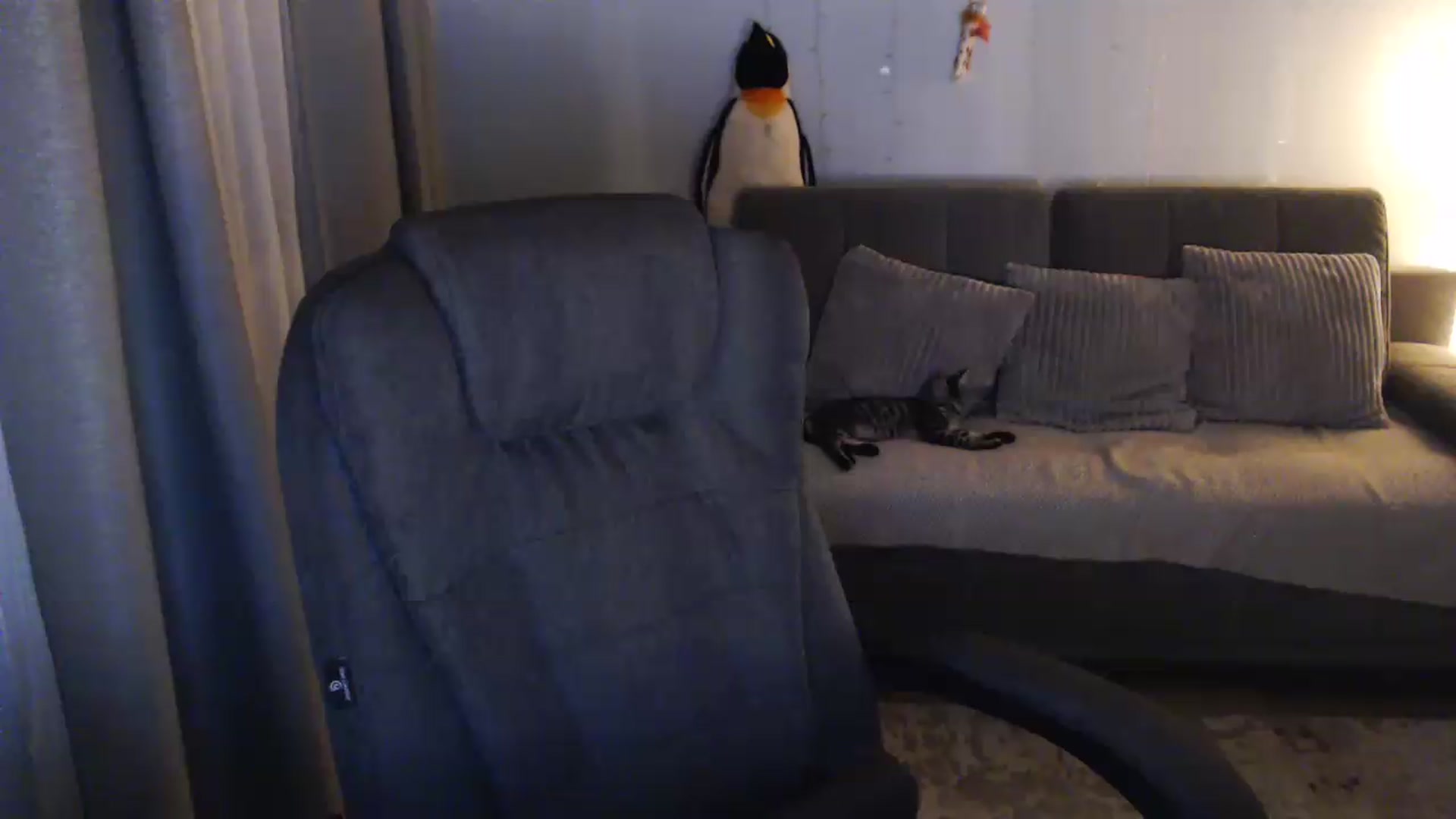 Gallery image thumbnail from Sicille's myfreecams stream on, 08/19/2026, 21:19 image 14 of 20
