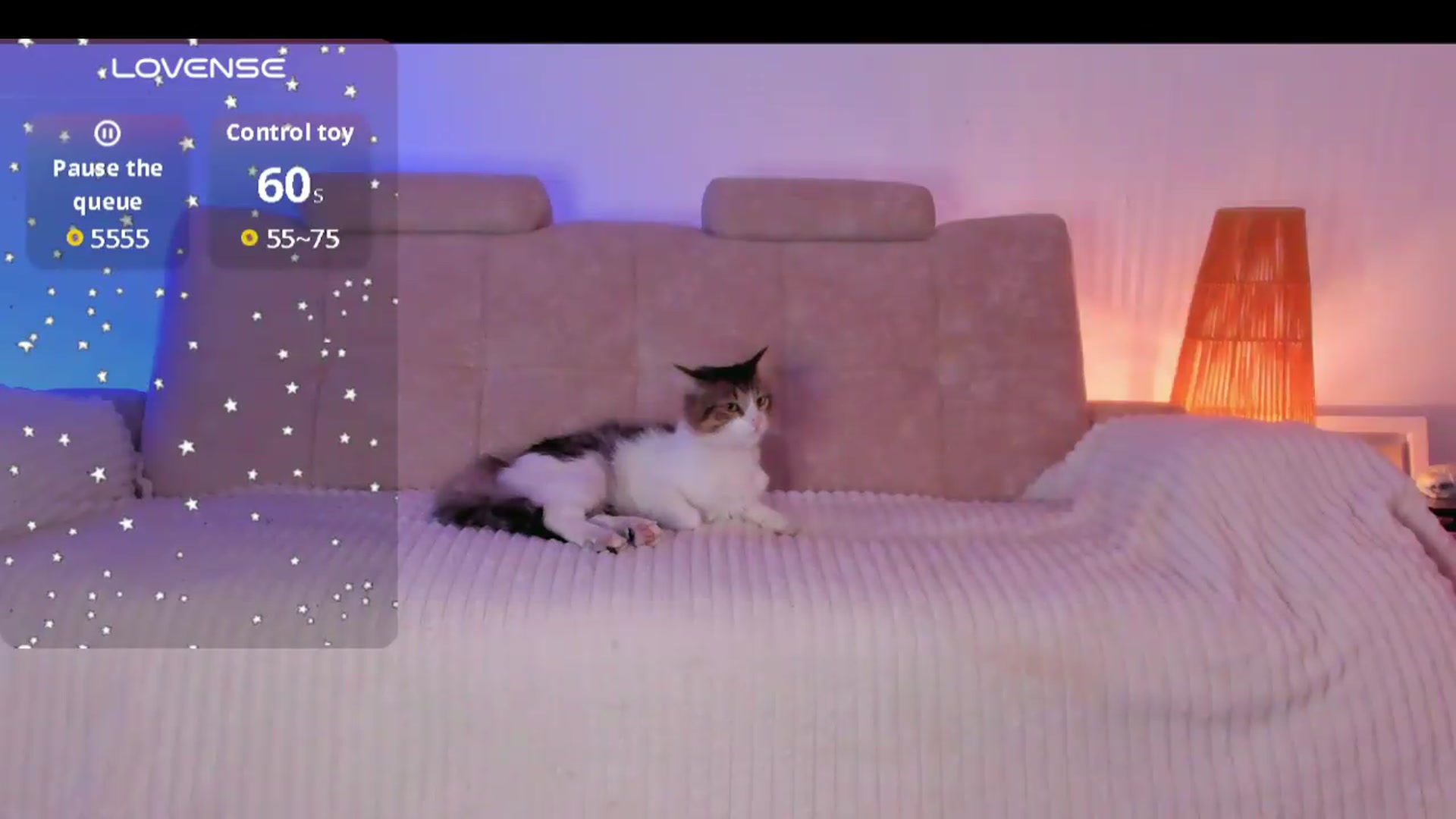 Gallery image thumbnail from Sienn_a's myfreecams stream on, 09/03/2026, 17:25 image 2 of 20