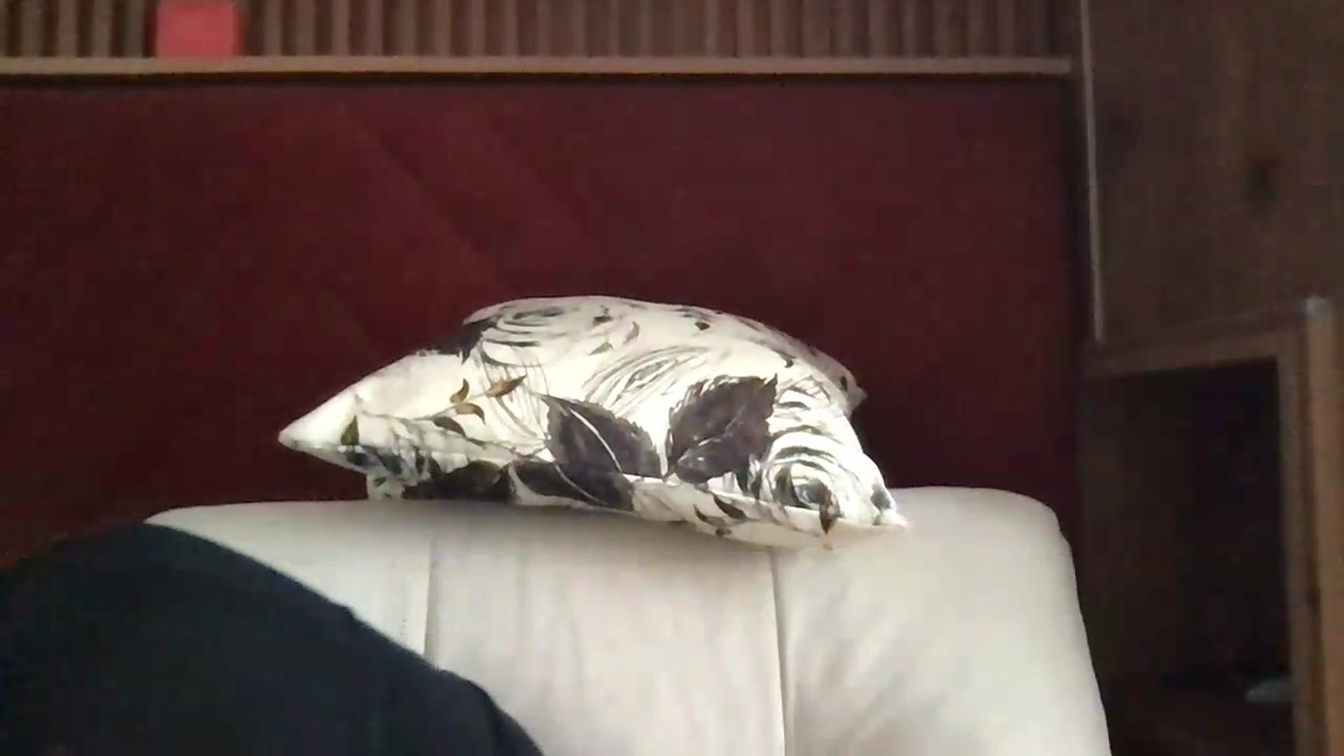 Gallery image thumbnail from SiennaMist's myfreecams stream on, 08/19/2026, 12:00 image 9 of 20
