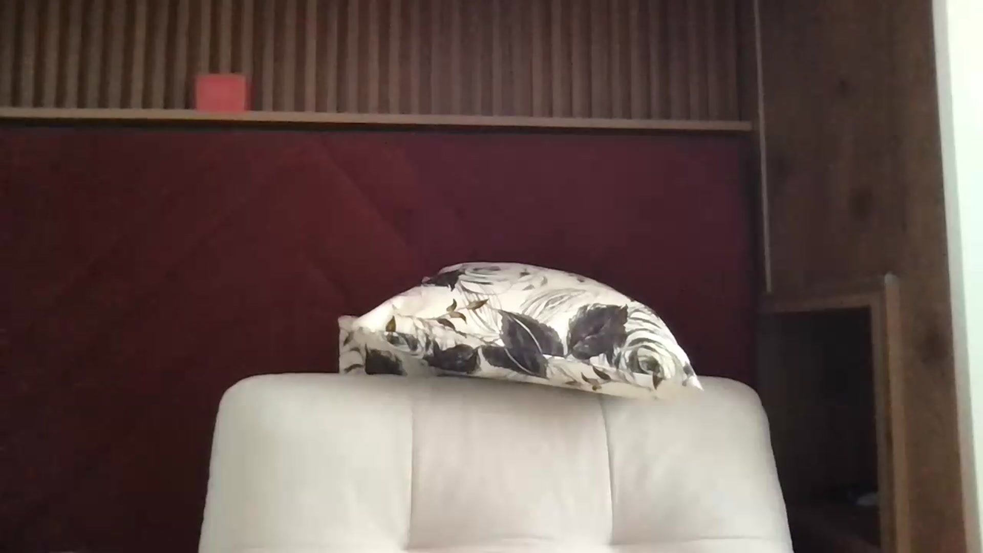 Gallery image thumbnail from SiennaMist's myfreecams stream on, 08/19/2026, 12:00 image 4 of 20