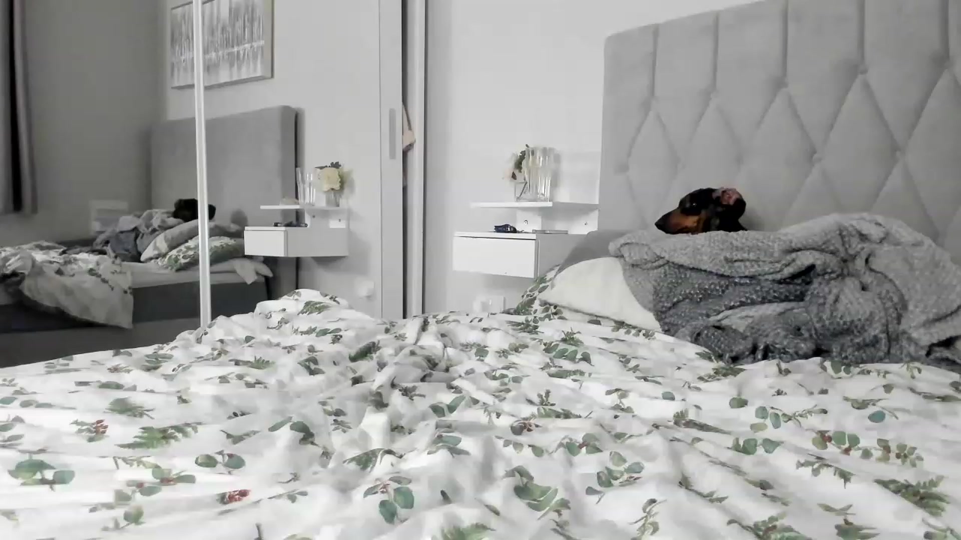 Gallery image thumbnail from SiennaSinsx's myfreecams stream on, 12/10/2022, 22:31 image 14 of 20