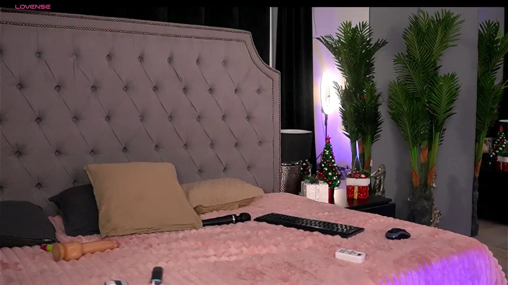 Gallery image thumbnail from SiennaSunset's myfreecams stream on, 12/25/2024, 12:04 image 17 of 20