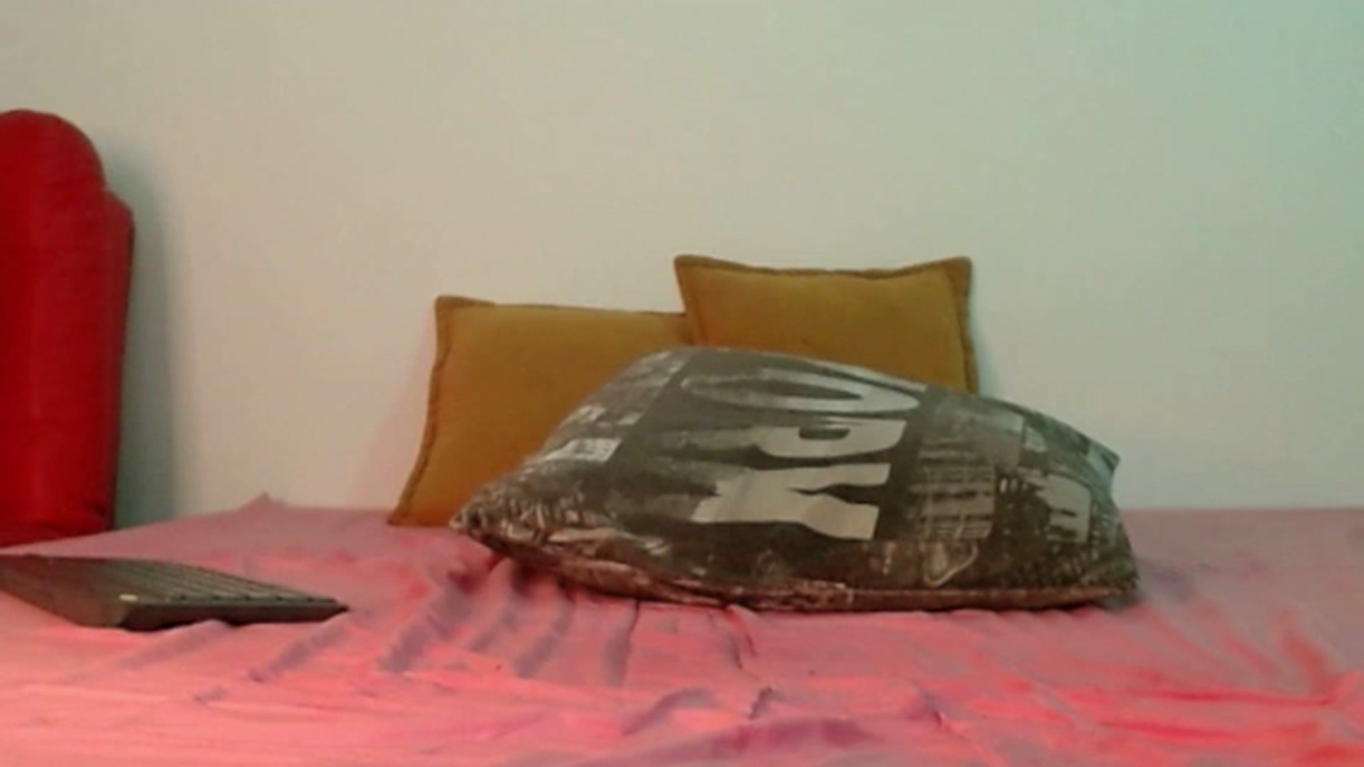 Gallery image thumbnail from SilverHase2's myfreecams stream on, 06/20/2023, 09:21 image 3 of 20