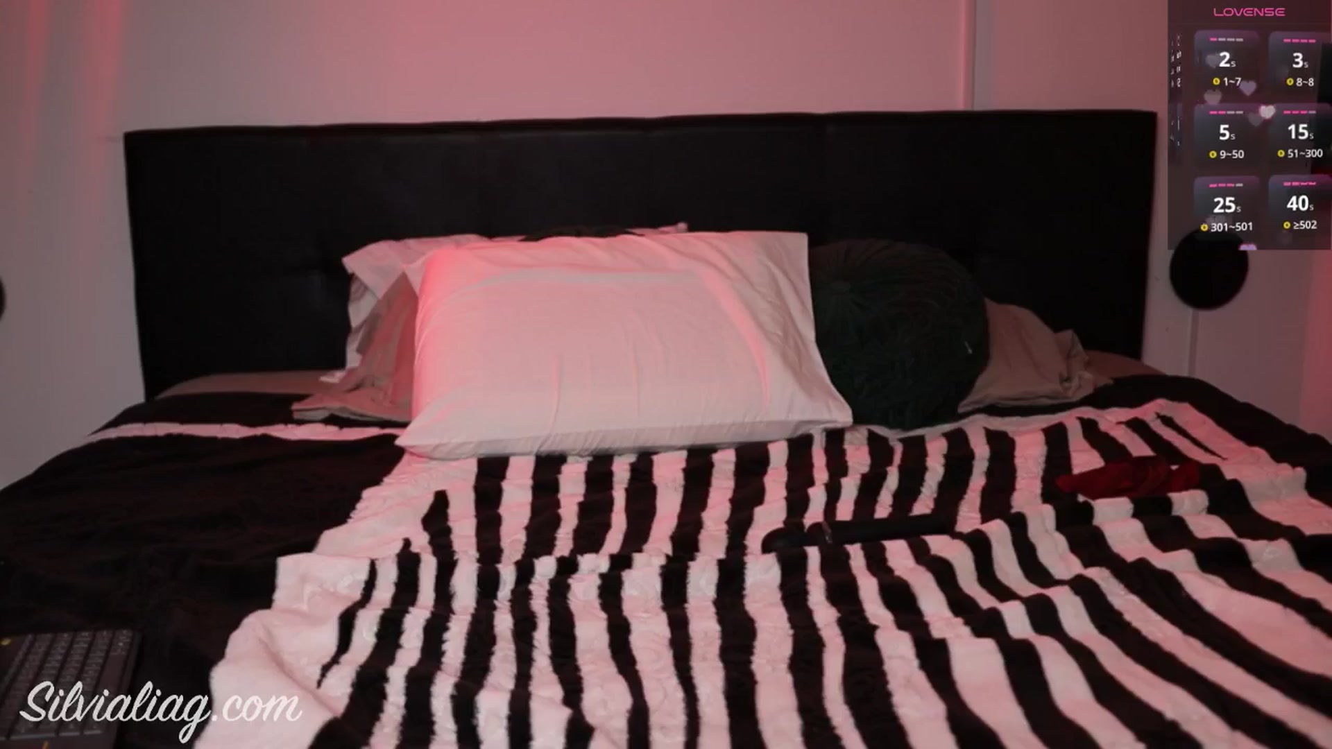 Gallery image thumbnail from Silvialiag's myfreecams stream on, 07/24/2025, 02:02 image 8 of 20