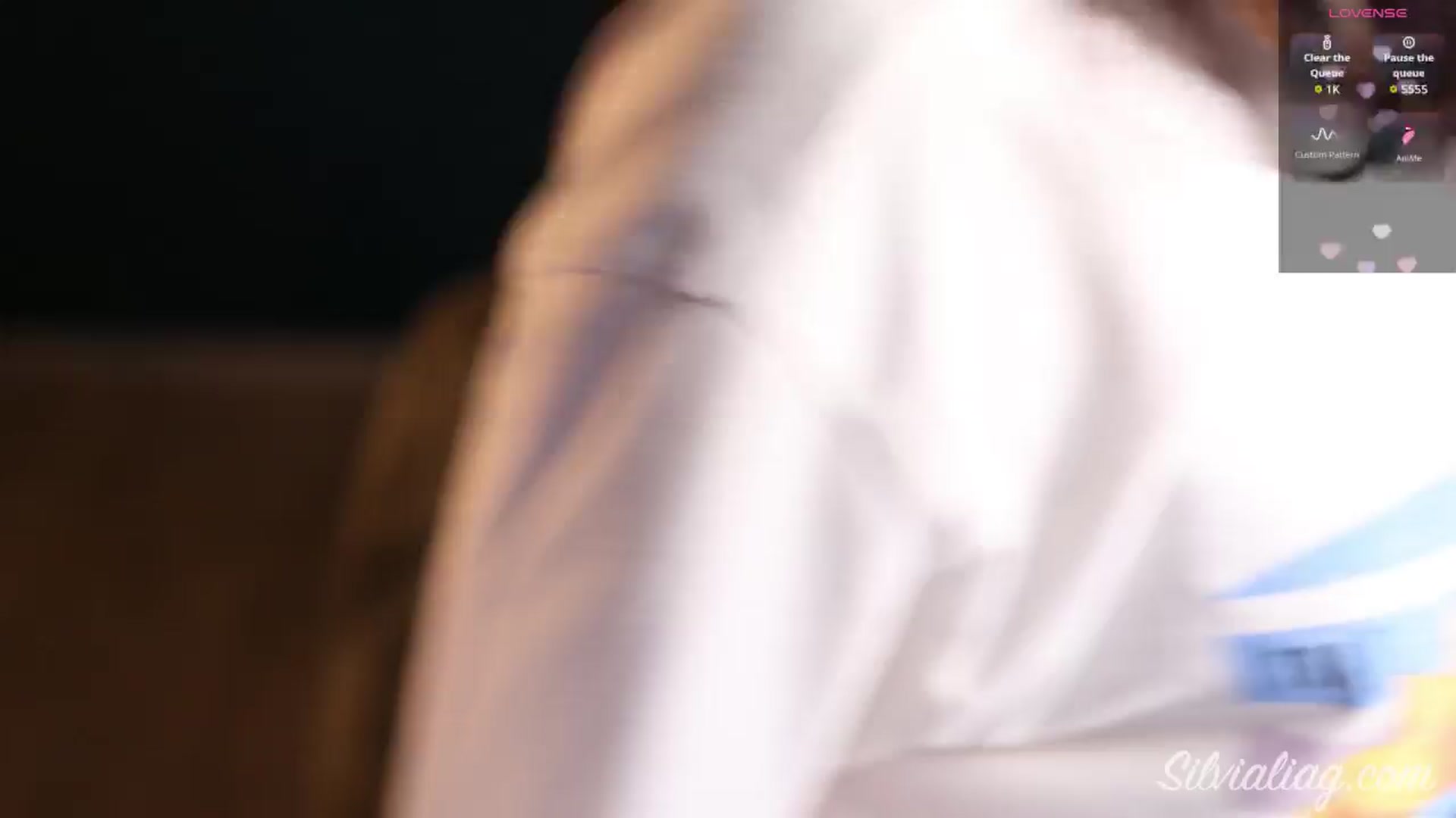 Gallery image thumbnail from Silvialiag's myfreecams stream on, 09/14/2025, 16:06 image 19 of 20