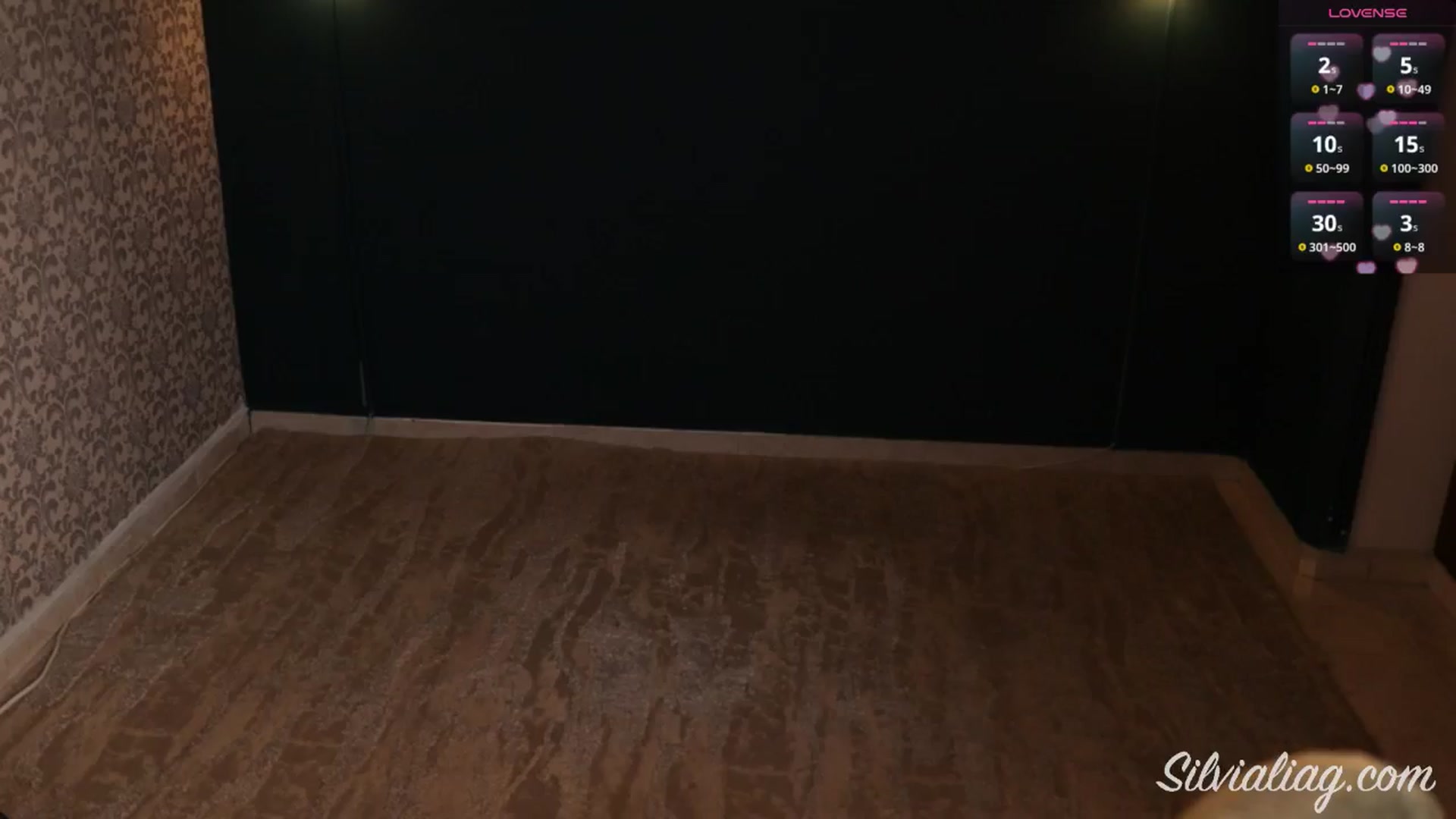 Gallery image thumbnail from Silvialiag's myfreecams stream on, 09/14/2025, 17:36 image 10 of 20