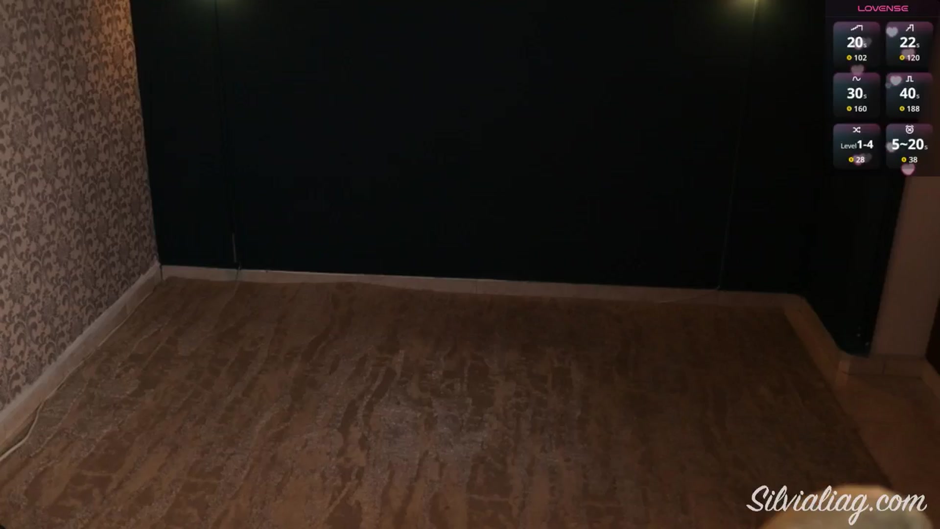 Gallery image thumbnail from Silvialiag's myfreecams stream on, 09/14/2025, 17:36 image 9 of 20