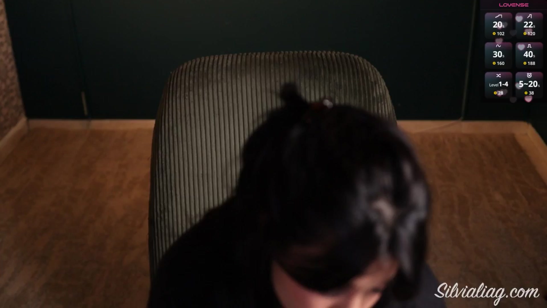 Gallery image thumbnail from Silvialiag's myfreecams stream on, 09/17/2025, 01:36 image 15 of 20