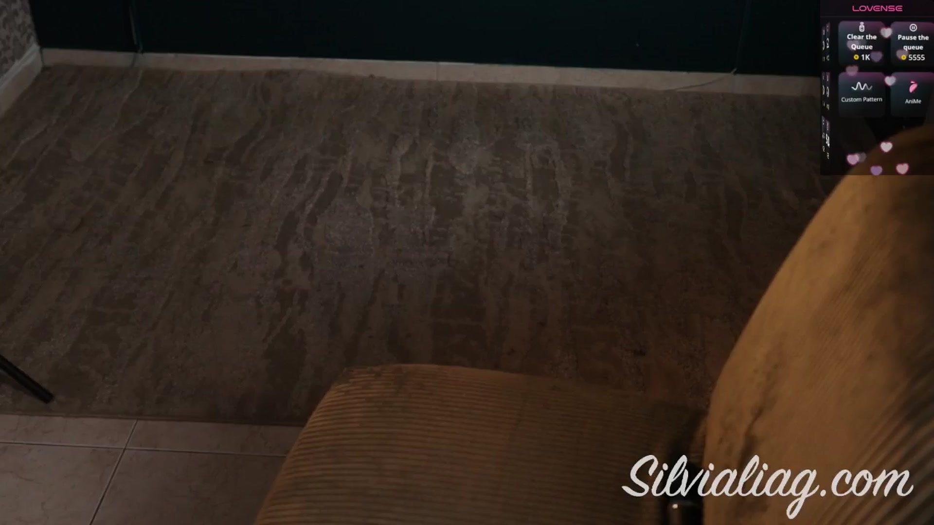 Gallery image thumbnail from Silvialiag's myfreecams stream on, 09/21/2025, 18:08 image 17 of 20