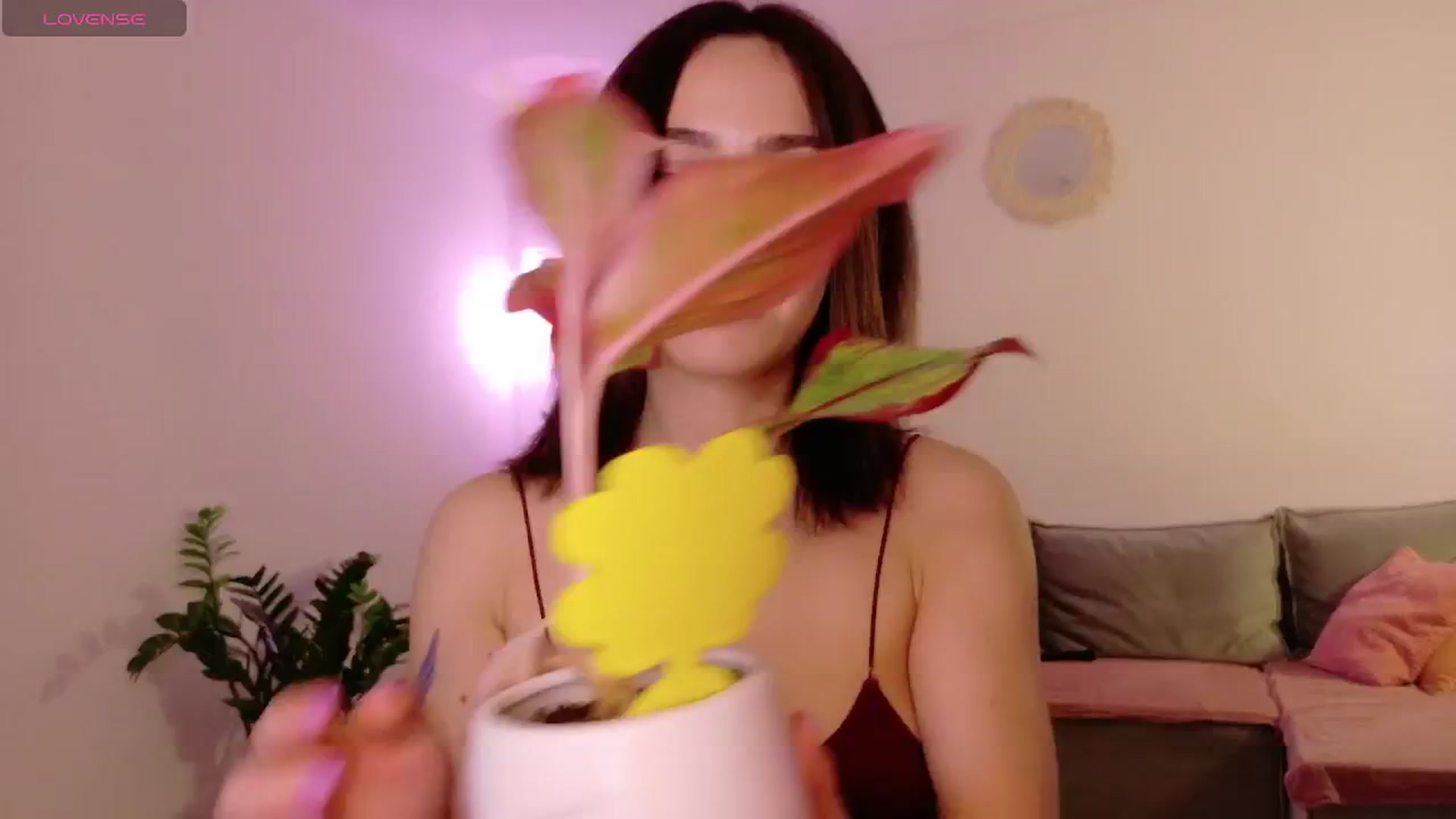 Gallery image thumbnail from Simi__'s myfreecams stream on, 02/24/2026, 18:26 image 11 of 20
