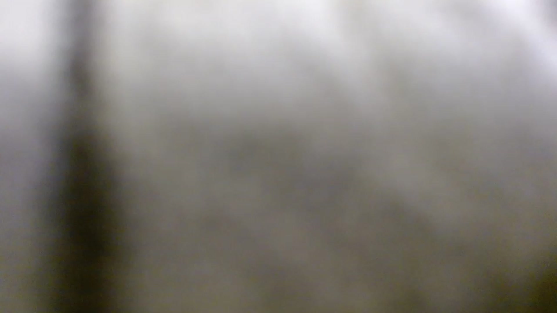 Gallery image thumbnail from Simonka's myfreecams stream on, 02/23/2023, 23:51 image 13 of 20