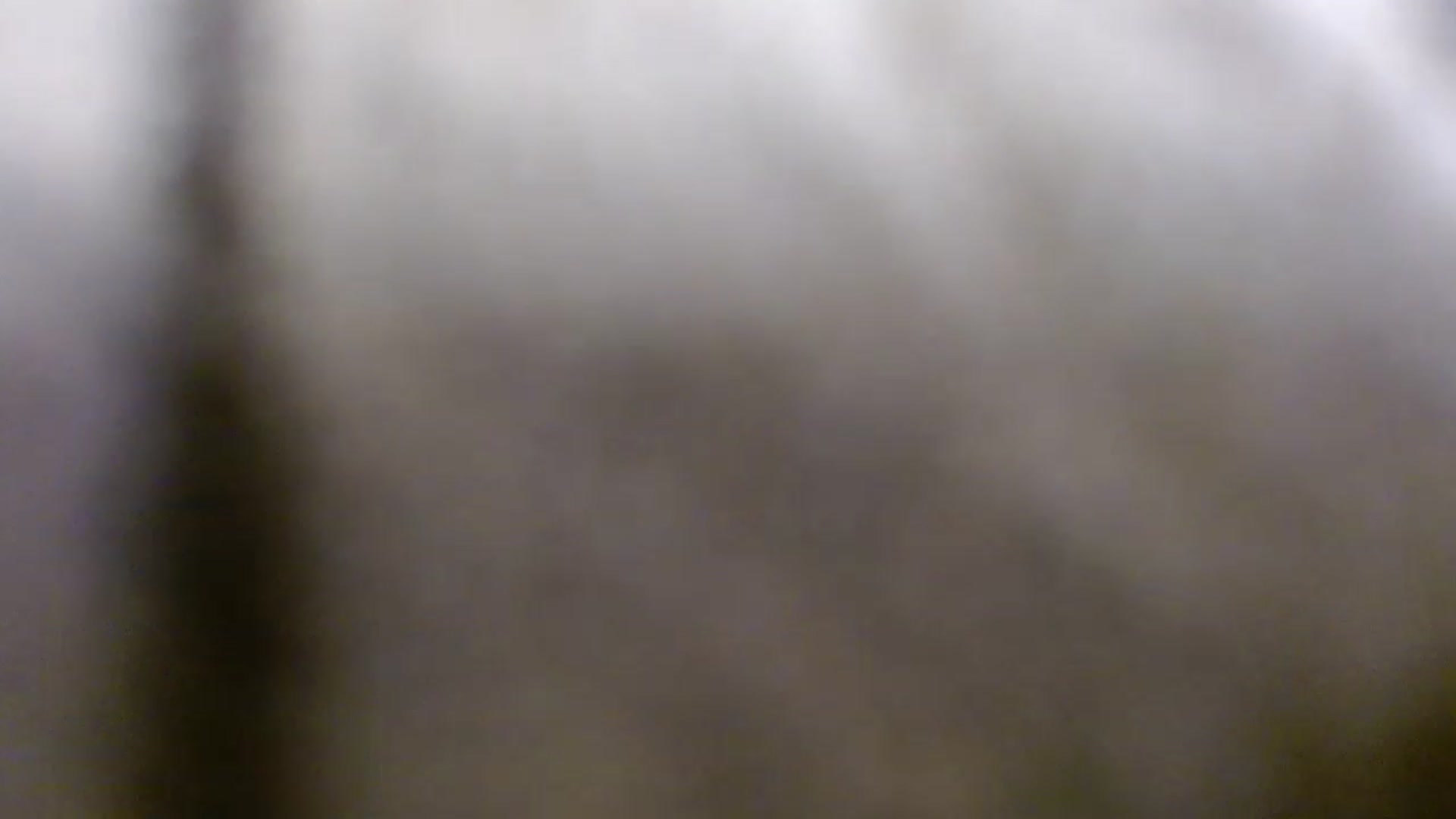 Gallery image thumbnail from Simonka's myfreecams stream on, 02/23/2023, 23:51 image 14 of 20
