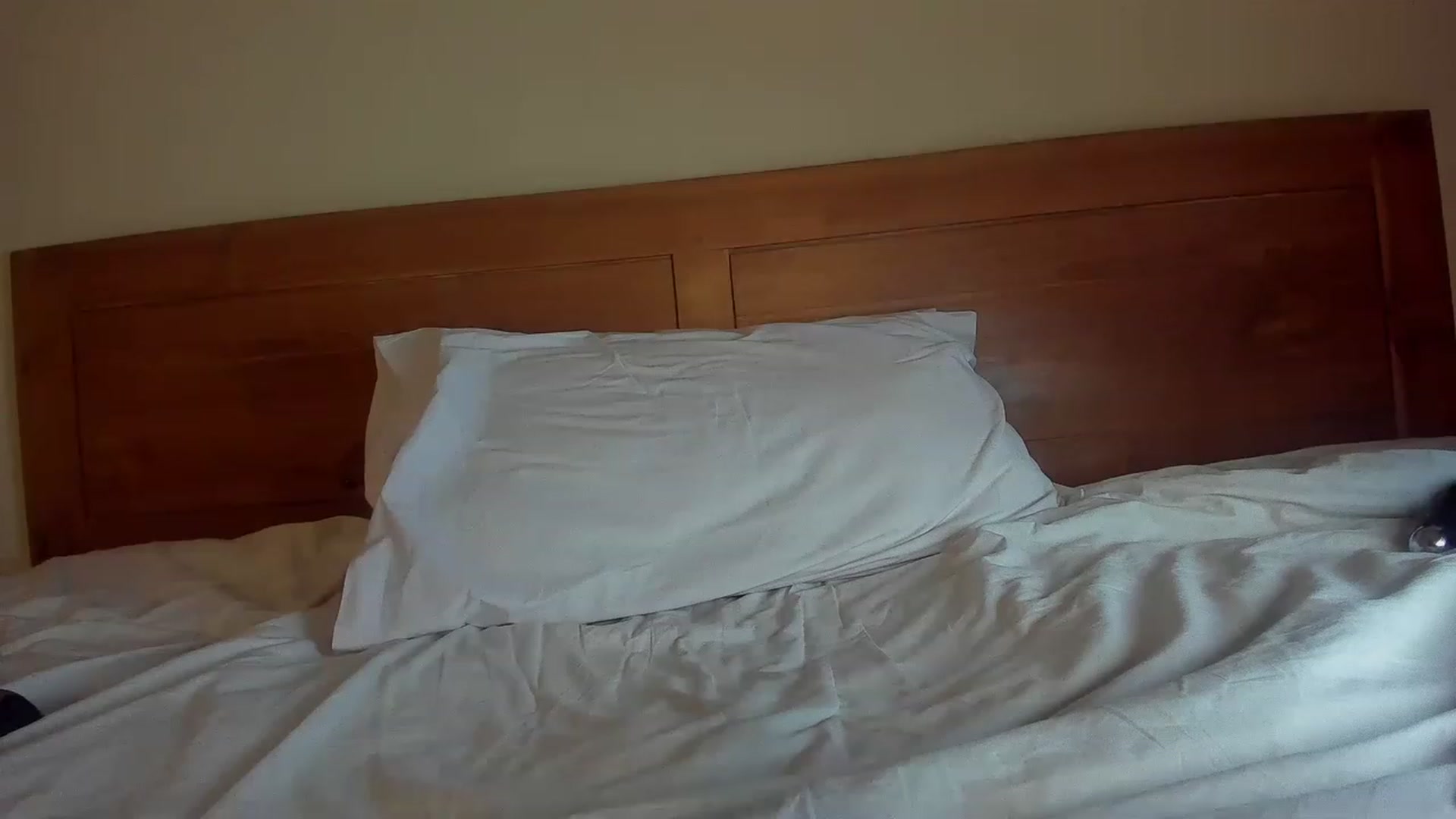 Gallery image thumbnail from Simply_skyyy's myfreecams stream on, 04/17/2023, 10:41 image 4 of 20