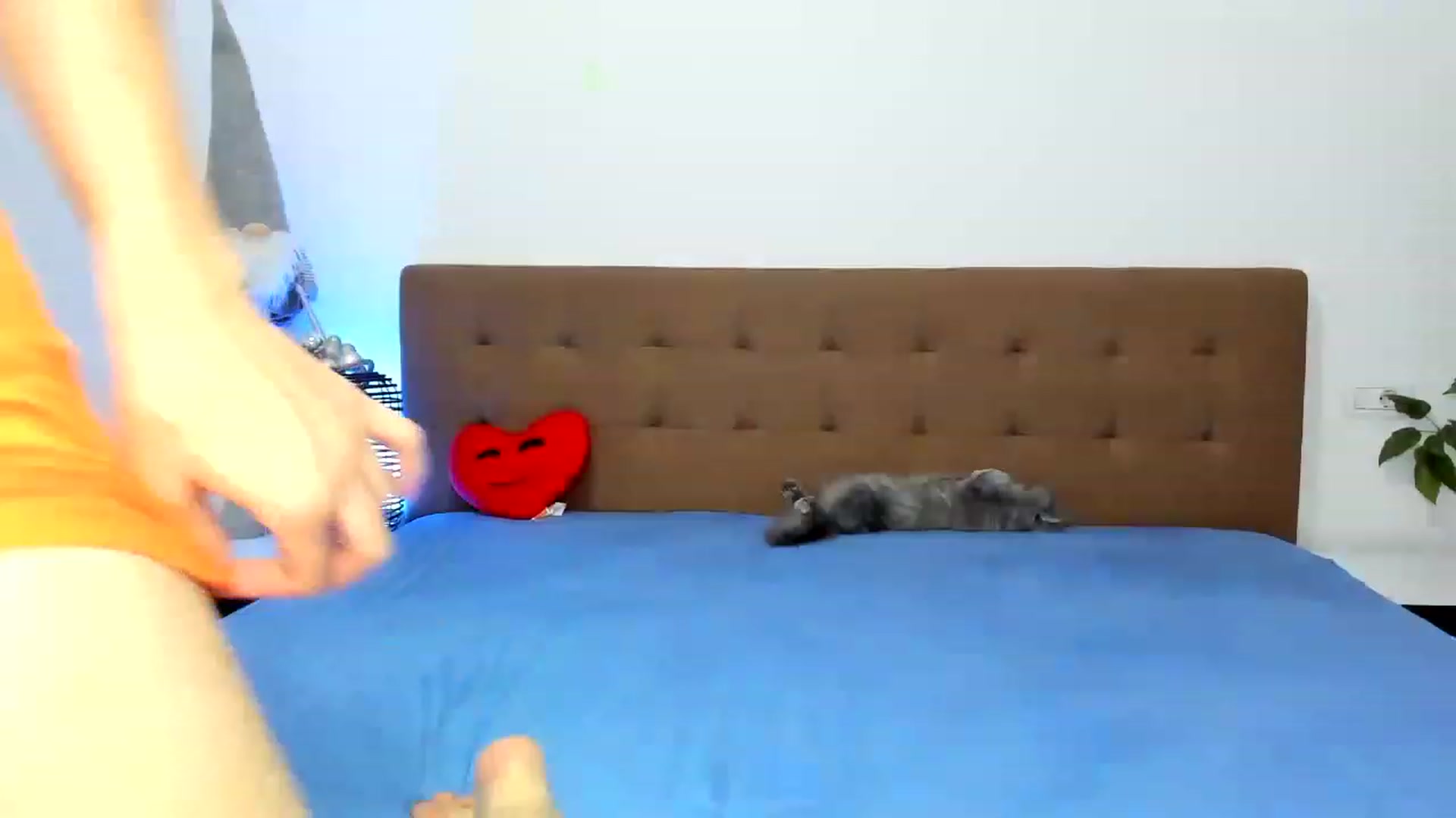 Gallery image thumbnail from SiouxPrincess's myfreecams stream on, 05/10/2023, 17:52 image 14 of 20