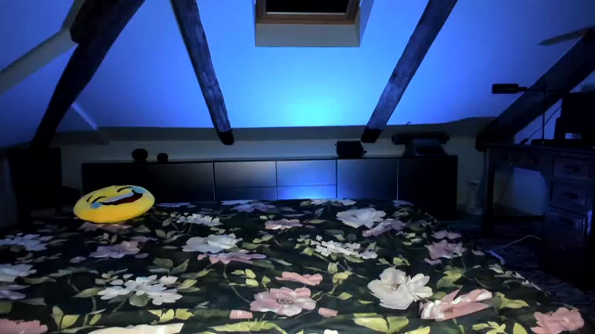 Gallery image thumbnail from SiouxPrincess's myfreecams stream on, 06/10/2023, 21:05 image 10 of 20