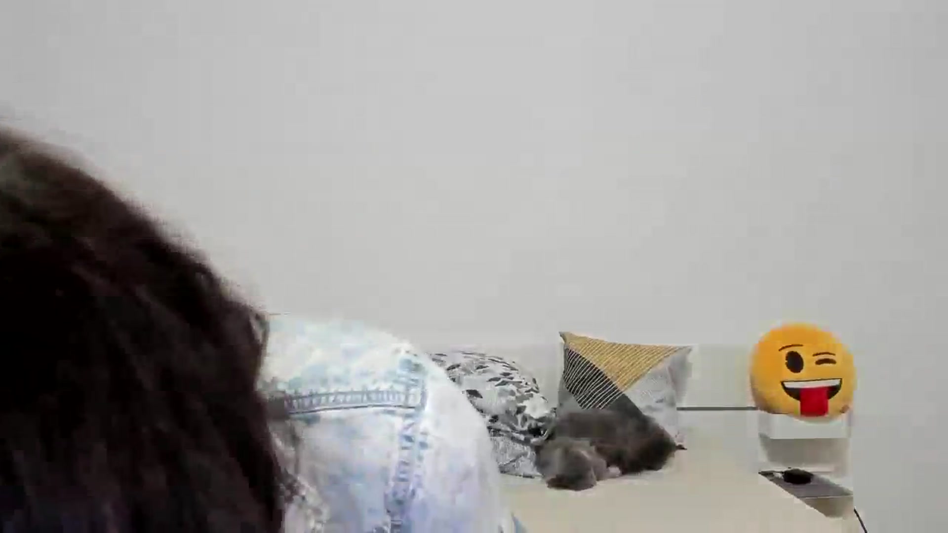 Gallery image thumbnail from SiouxPrincess's myfreecams stream on, 01/23/2024, 24:12 image 12 of 20