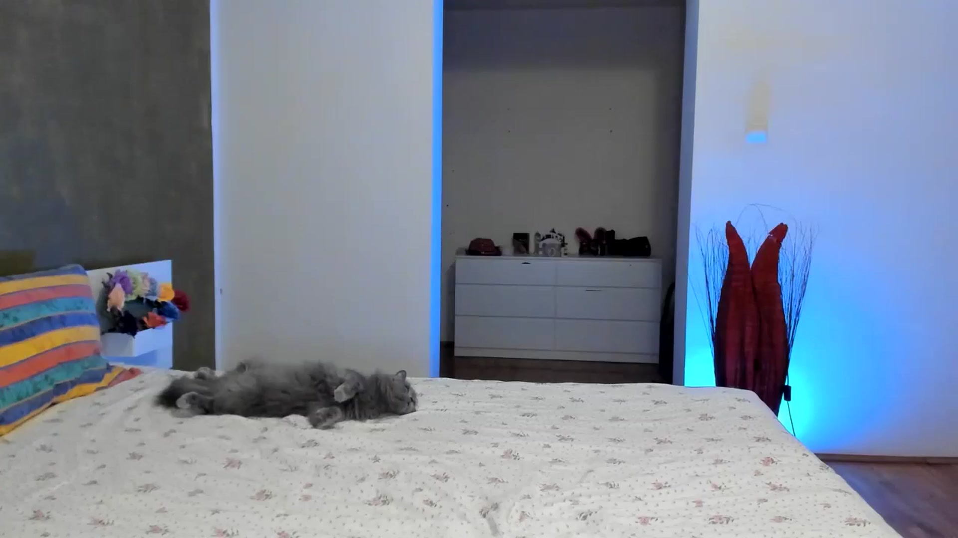 Gallery image thumbnail from SiouxPrincess's myfreecams stream on, 07/14/2024, 23:28 image 13 of 20