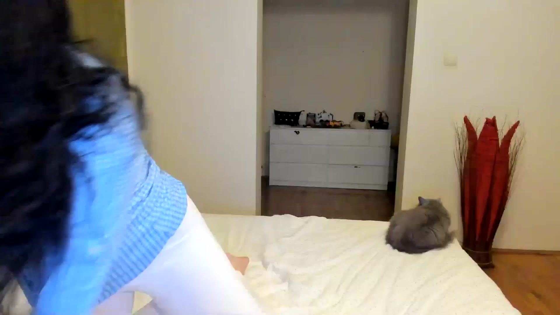 Gallery image thumbnail from SiouxPrincess's myfreecams stream on, 10/12/2024, 23:44 image 1 of 20