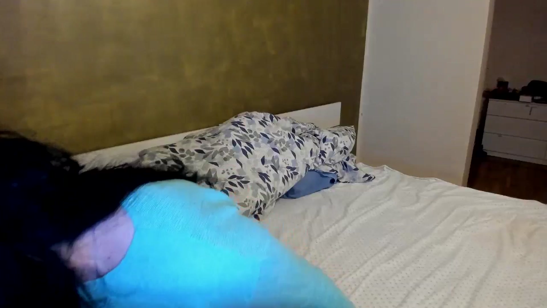 Gallery image thumbnail from SiouxPrincess's myfreecams stream on, 11/18/2025, 20:57 image 16 of 20