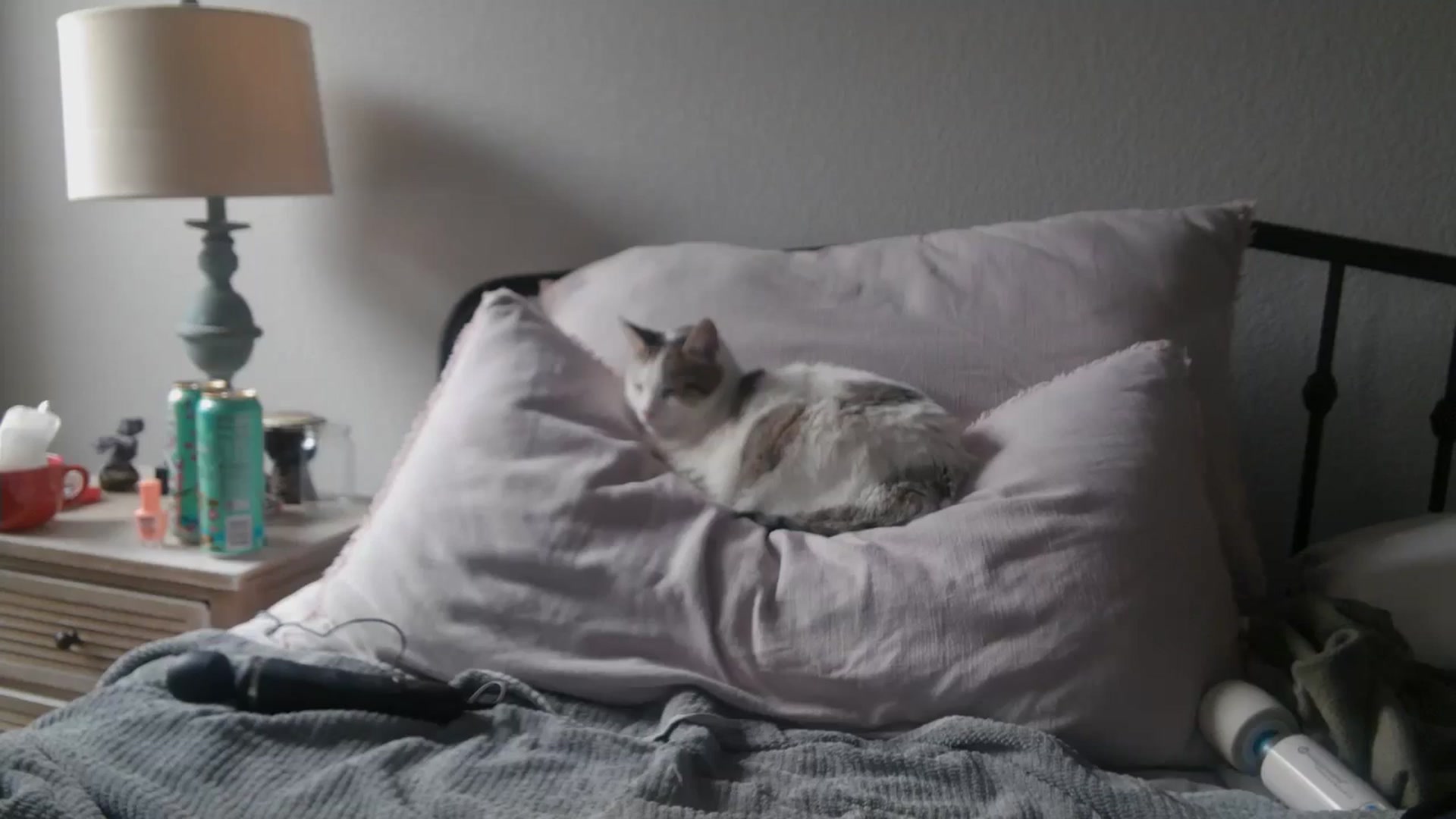 Gallery image thumbnail from Siren3's myfreecams stream on, 03/07/2025, 18:05 image 1 of 20