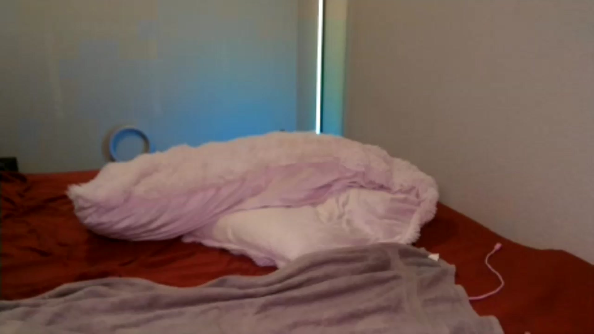 Gallery image thumbnail from Siren3's myfreecams stream on, 07/07/2026, 20:45 image 17 of 20