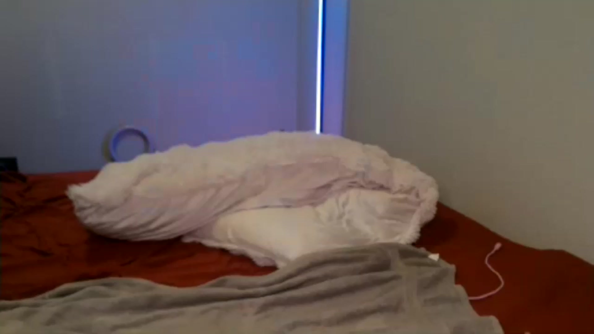 Gallery image thumbnail from Siren3's myfreecams stream on, 07/07/2026, 20:45 image 16 of 20