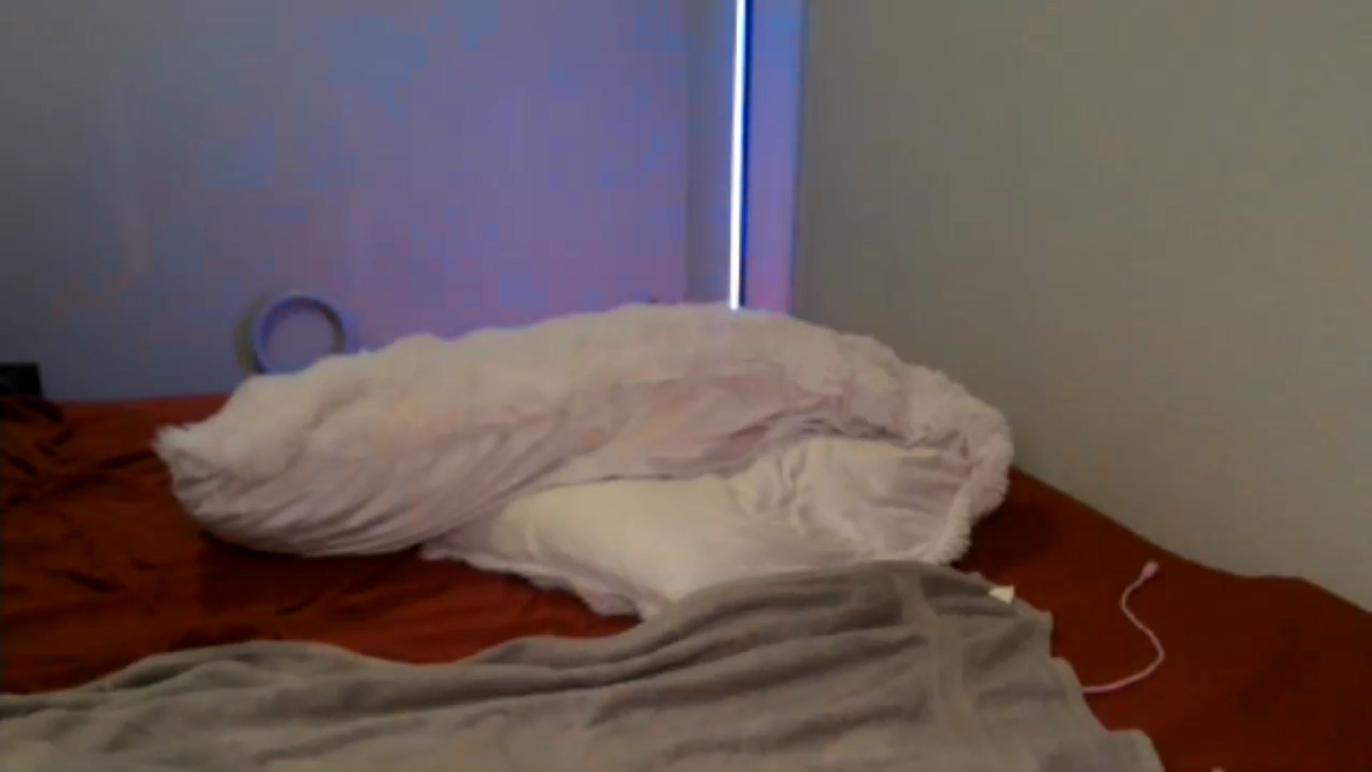 Gallery image thumbnail from Siren3's myfreecams stream on, 07/07/2026, 20:45 image 18 of 20