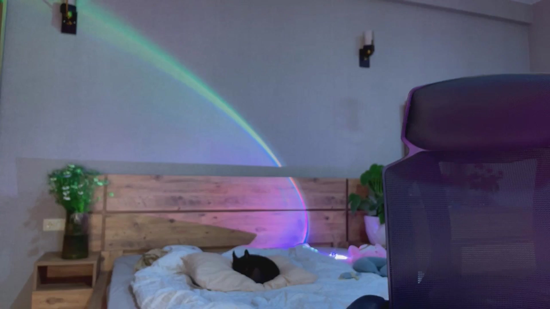 Gallery image thumbnail from Sk8Gurl420's myfreecams stream on, 05/21/2025, 17:56 image 20 of 20