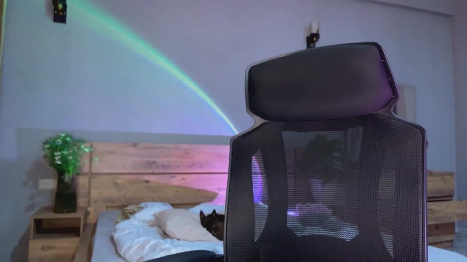 Gallery image thumbnail from Sk8Gurl420's myfreecams stream on, 05/21/2025, 17:56 image 13 of 20