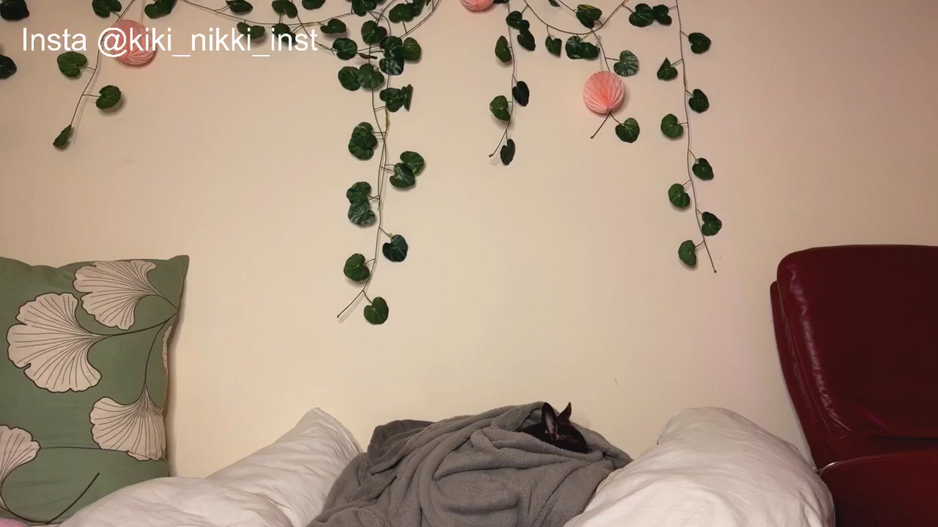 Gallery image thumbnail from Sk8Gurl420's myfreecams stream on, 12/27/2025, 20:11 image 11 of 20
