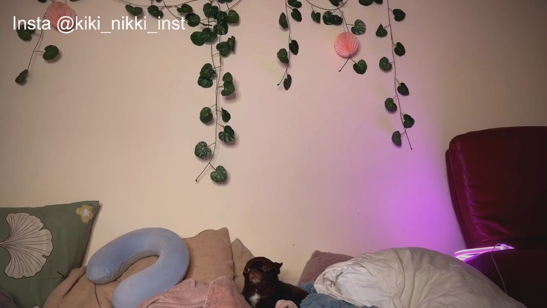 Gallery image thumbnail from Sk8Gurl420's myfreecams stream on, 01/03/2026, 21:13 image 20 of 20