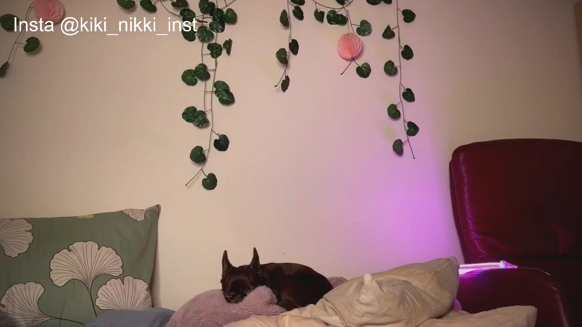 Gallery image thumbnail from Sk8Gurl420's myfreecams stream on, 01/06/2026, 18:04 image 16 of 20