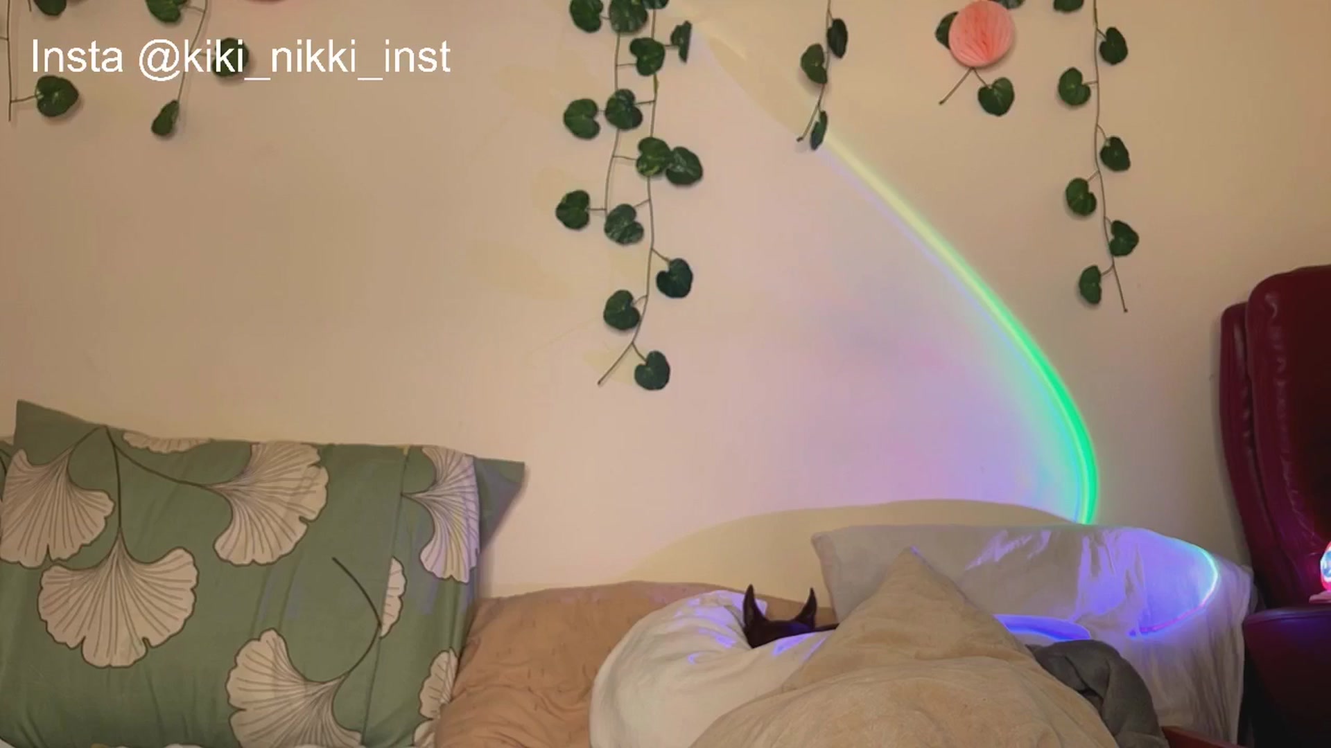 Gallery image thumbnail from Sk8Gurl420's myfreecams stream on, 02/15/2026, 11:04 image 18 of 20