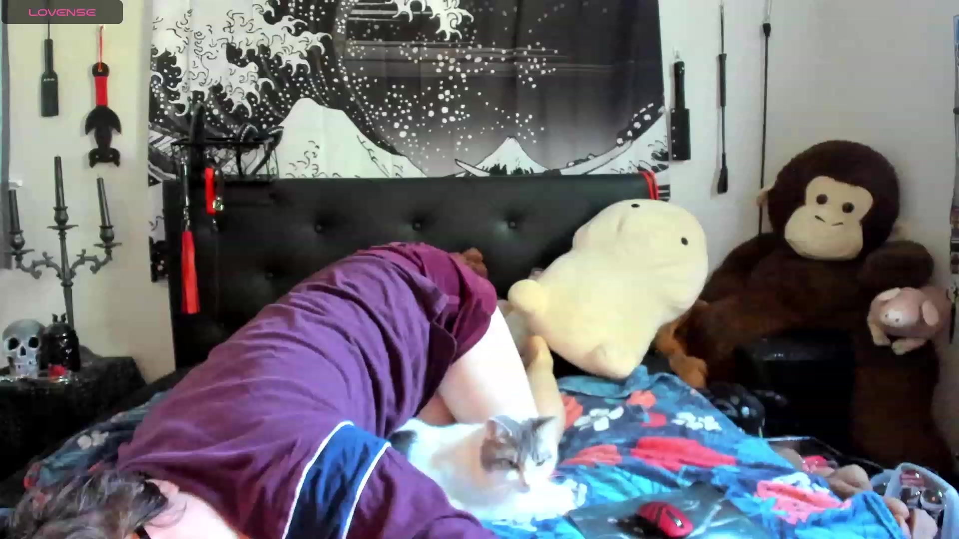 Gallery image thumbnail from SkettiBaby's myfreecams stream on, 09/14/2023, 13:36 image 3 of 20